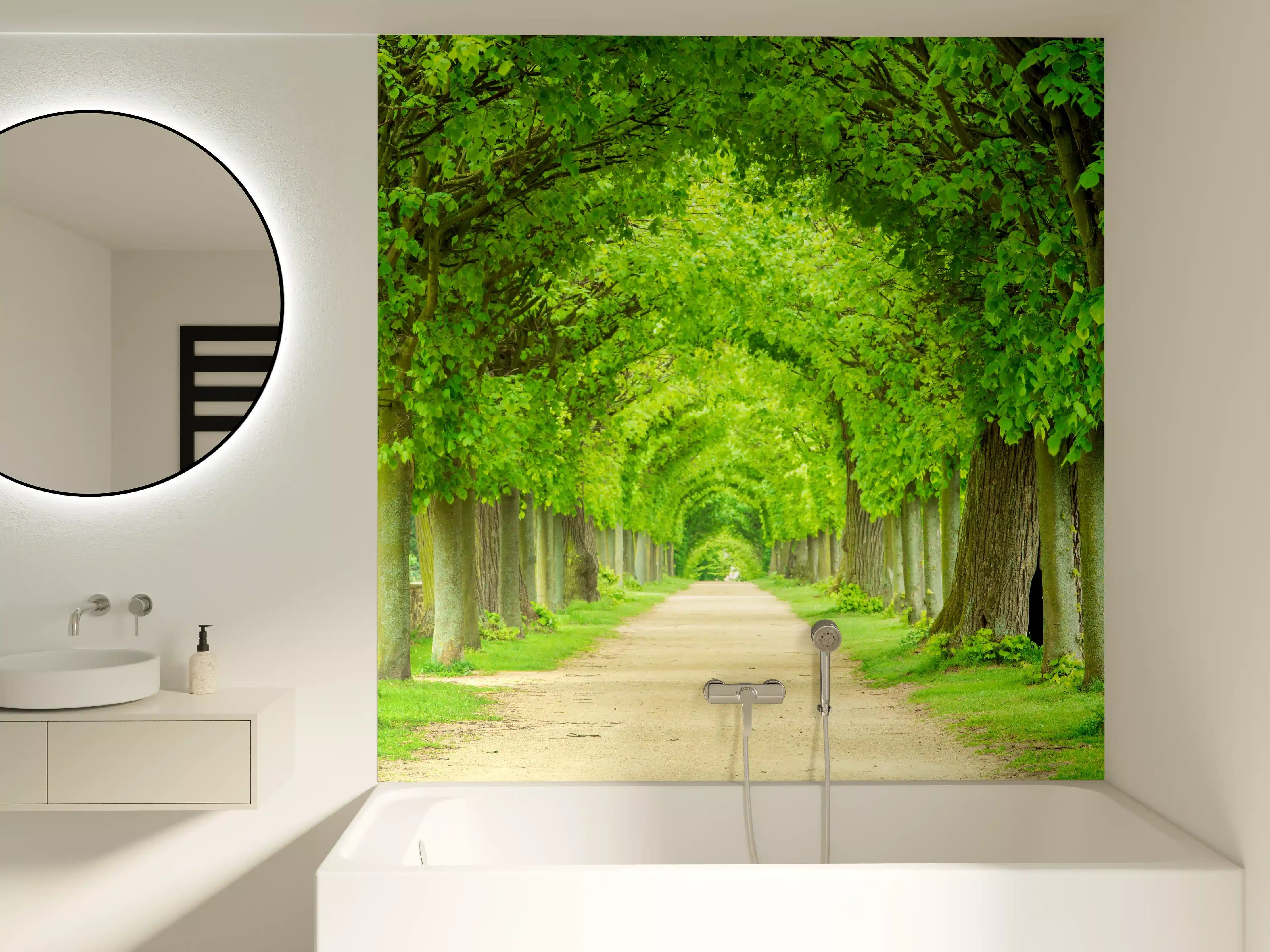 Badewannen-Rückwand - Tunnelartige Lindenallee im Frühling
