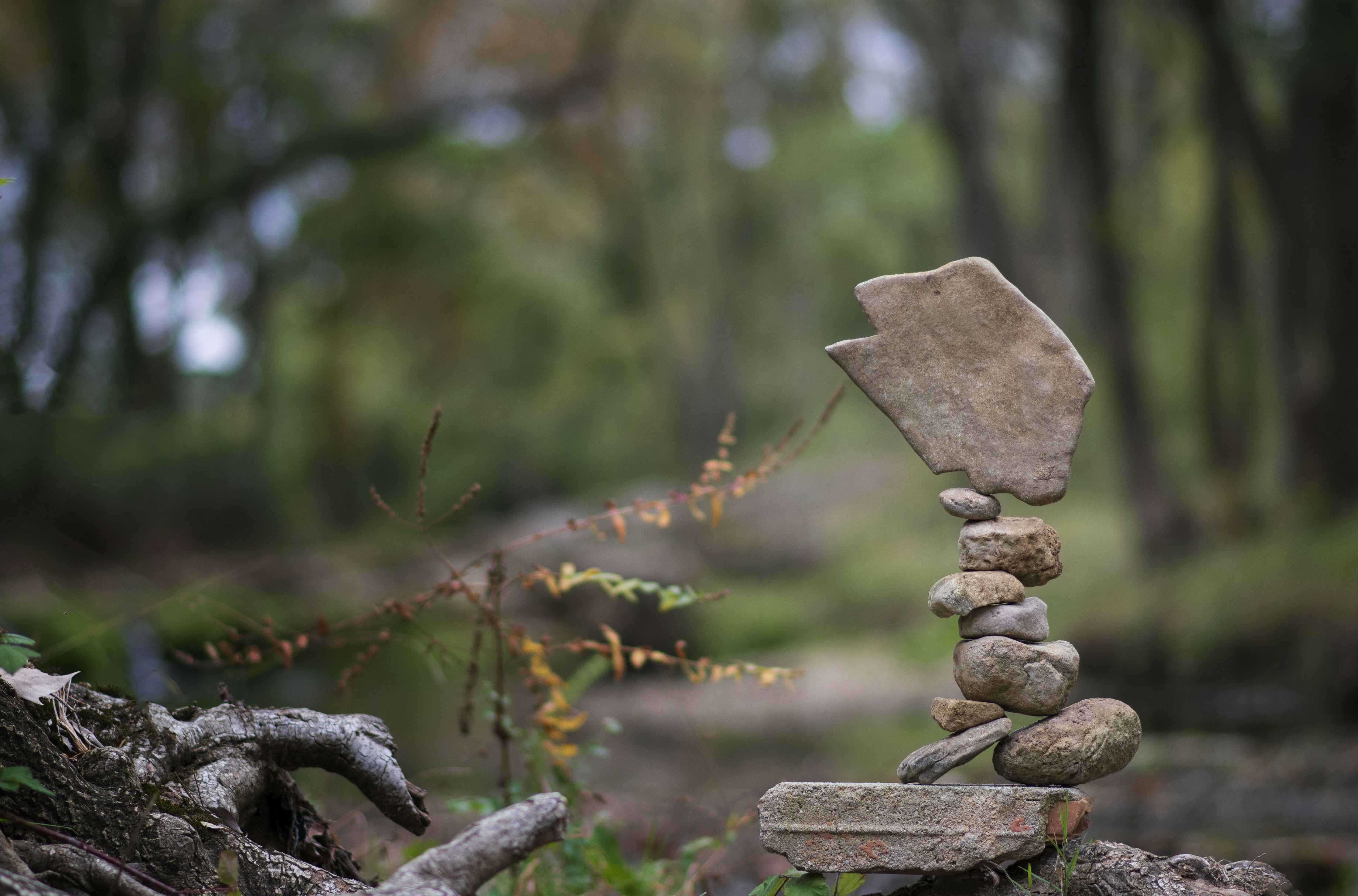 Badewannen-Rückwand-Turm aus Steinen im Wald