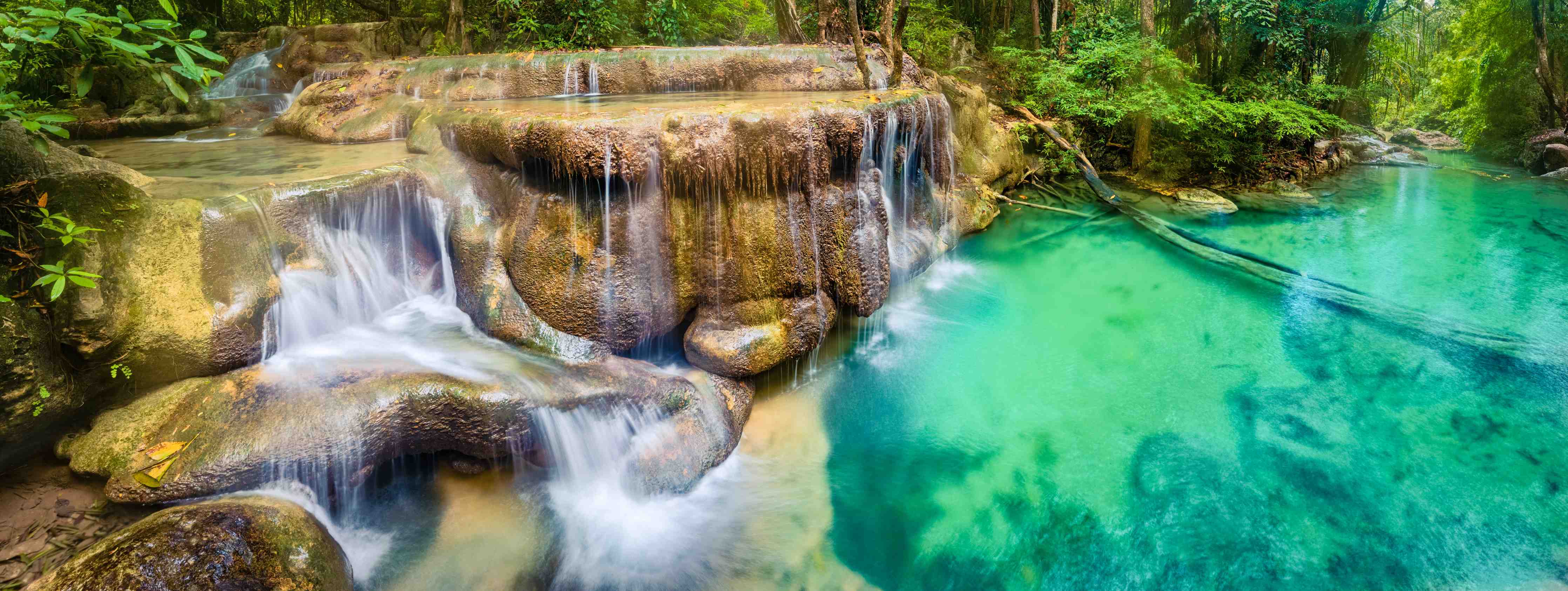 Badewannen-Rückwand-Verborgene Oase im Regenwald