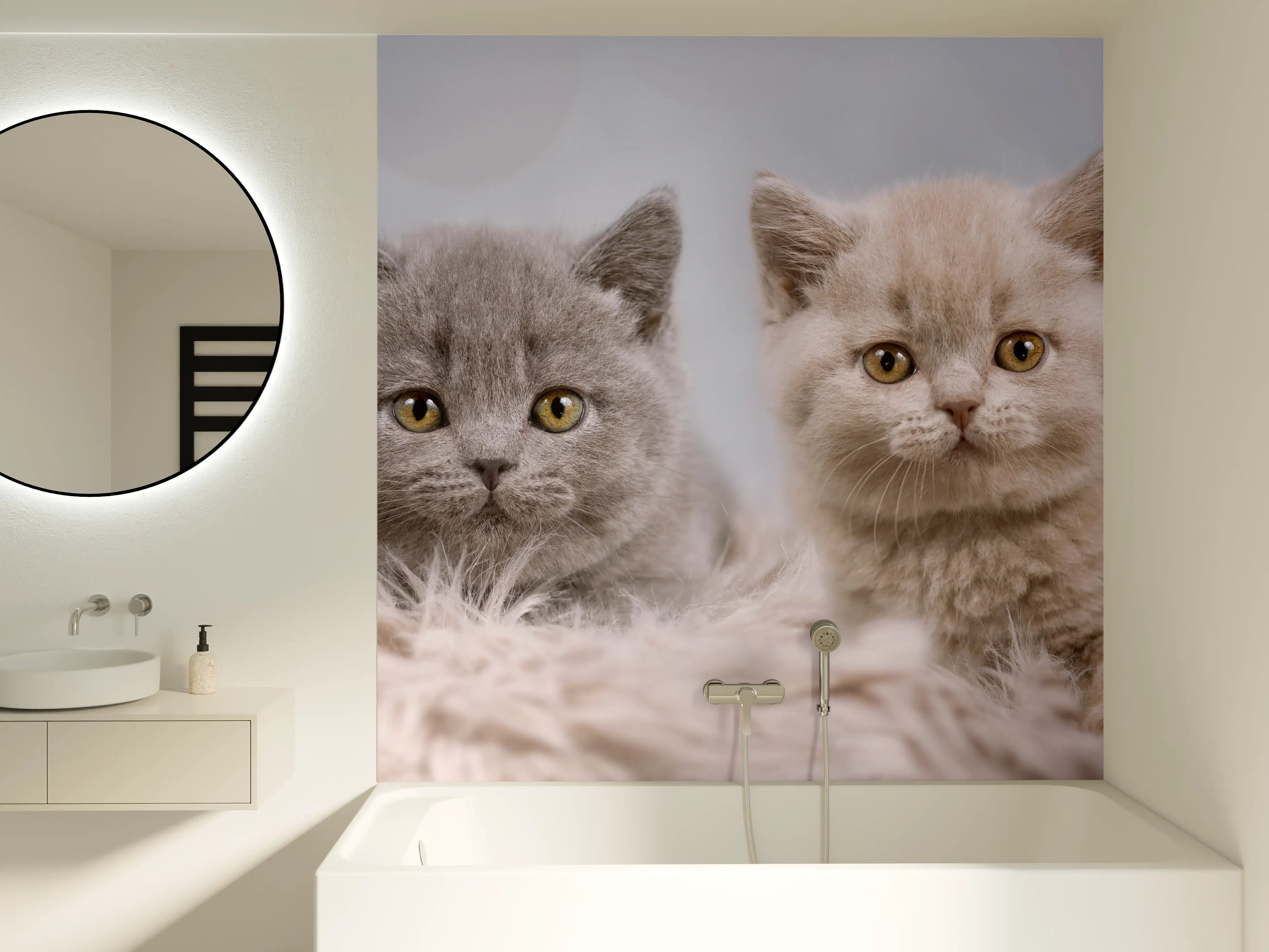 Badewannen-Rückwand - Vier süße Katzenbaby