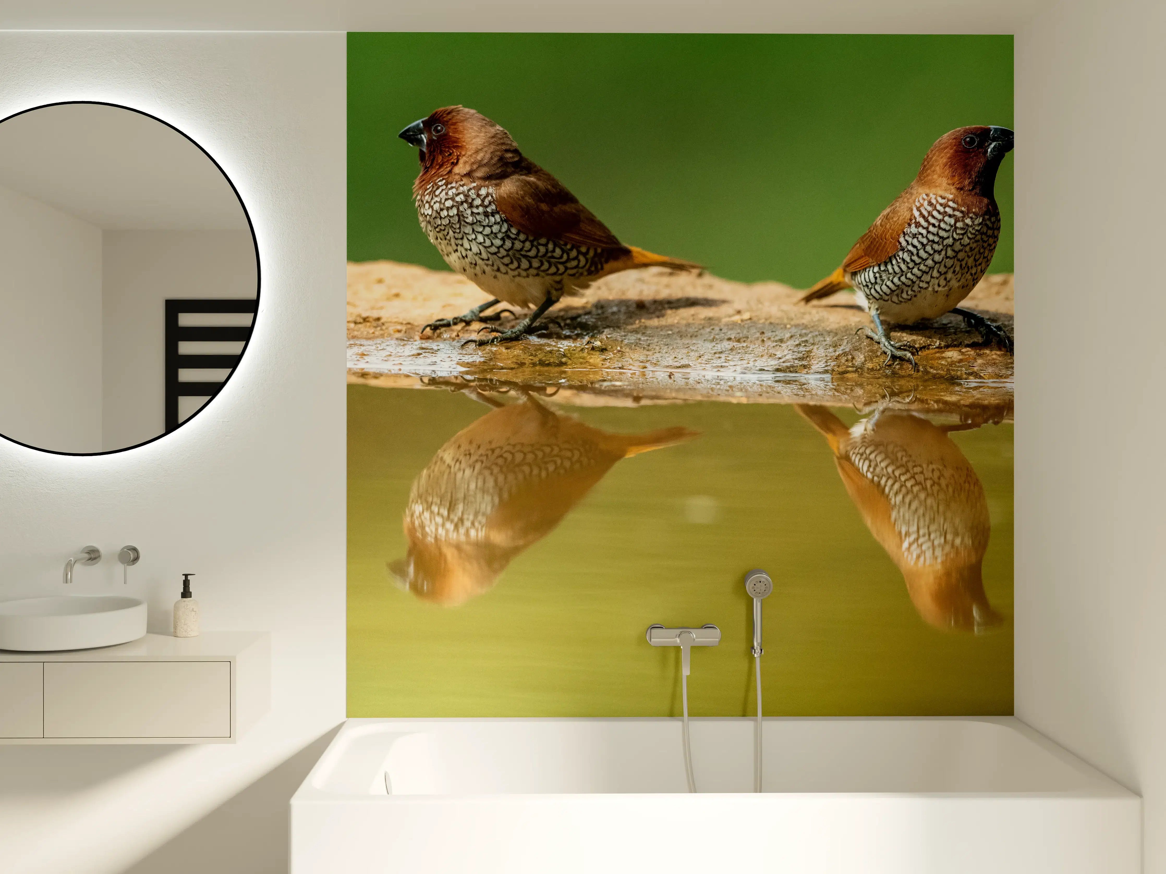 Badewannen-Rückwand - Vögel Spiegelung im Wasser