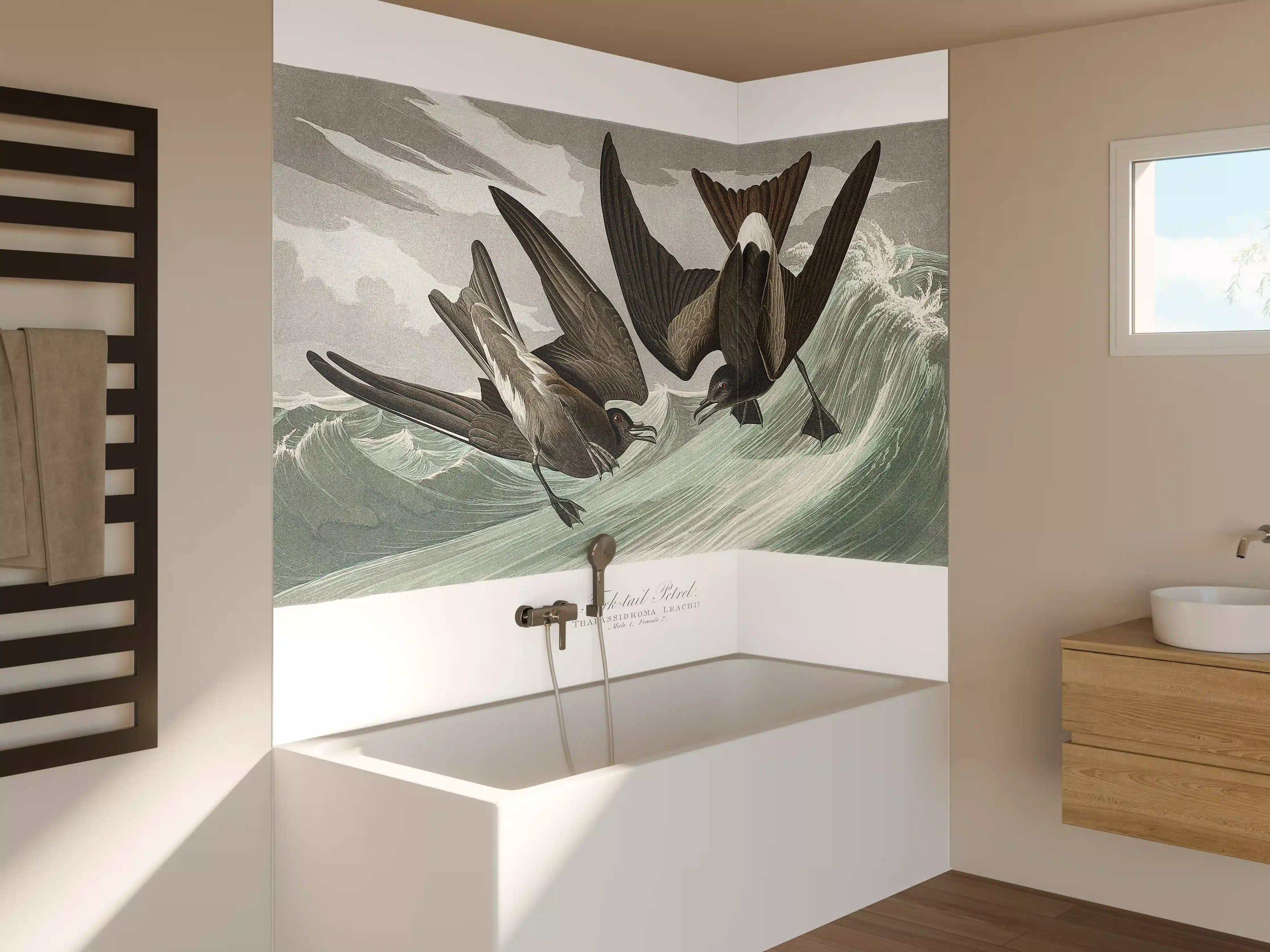 Badewannen-Rückwand - Vögel mitten im Meer - Robert Havell