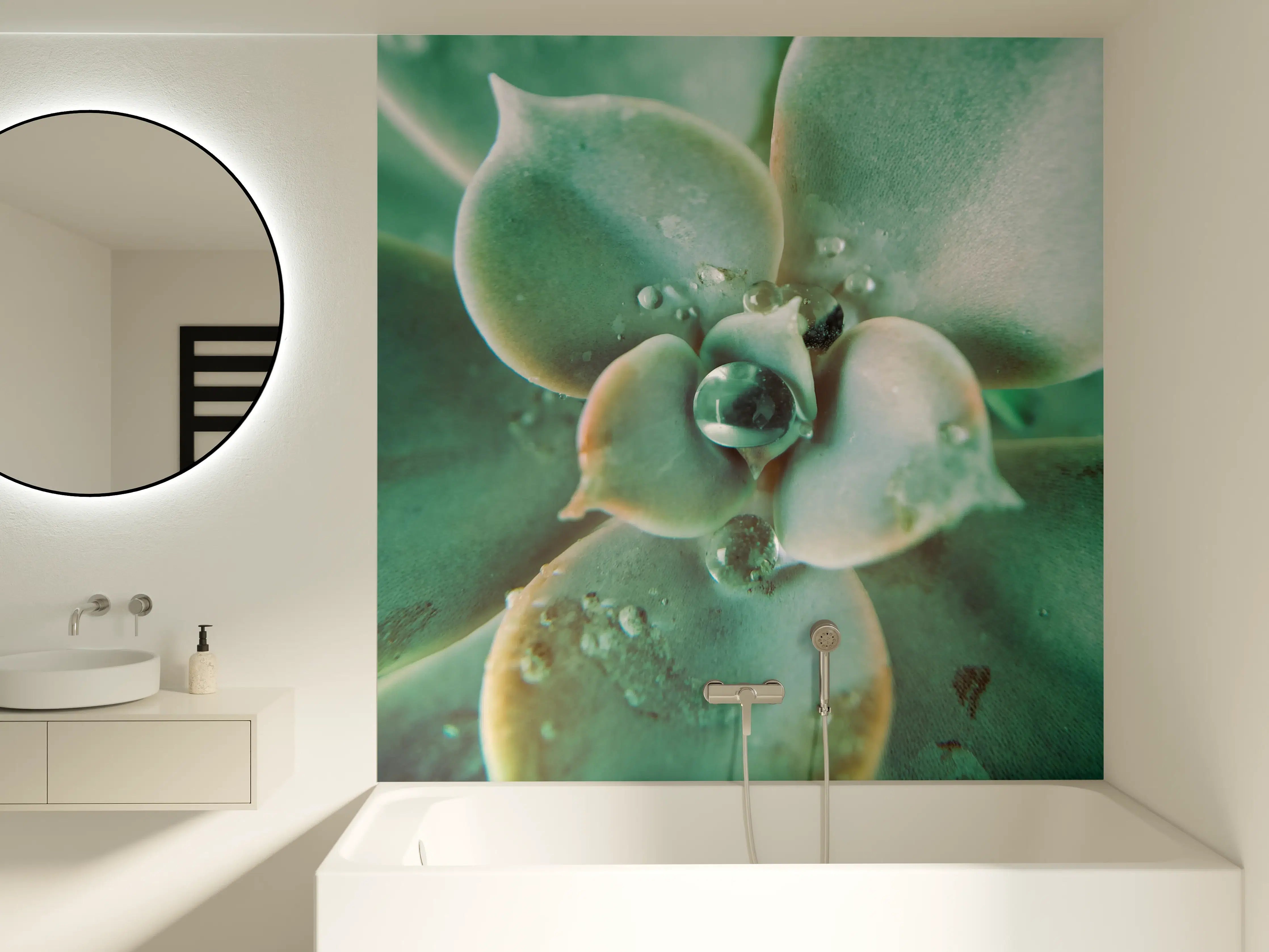 Badewannen-Rückwand - Wassertropfen - Sukkulente