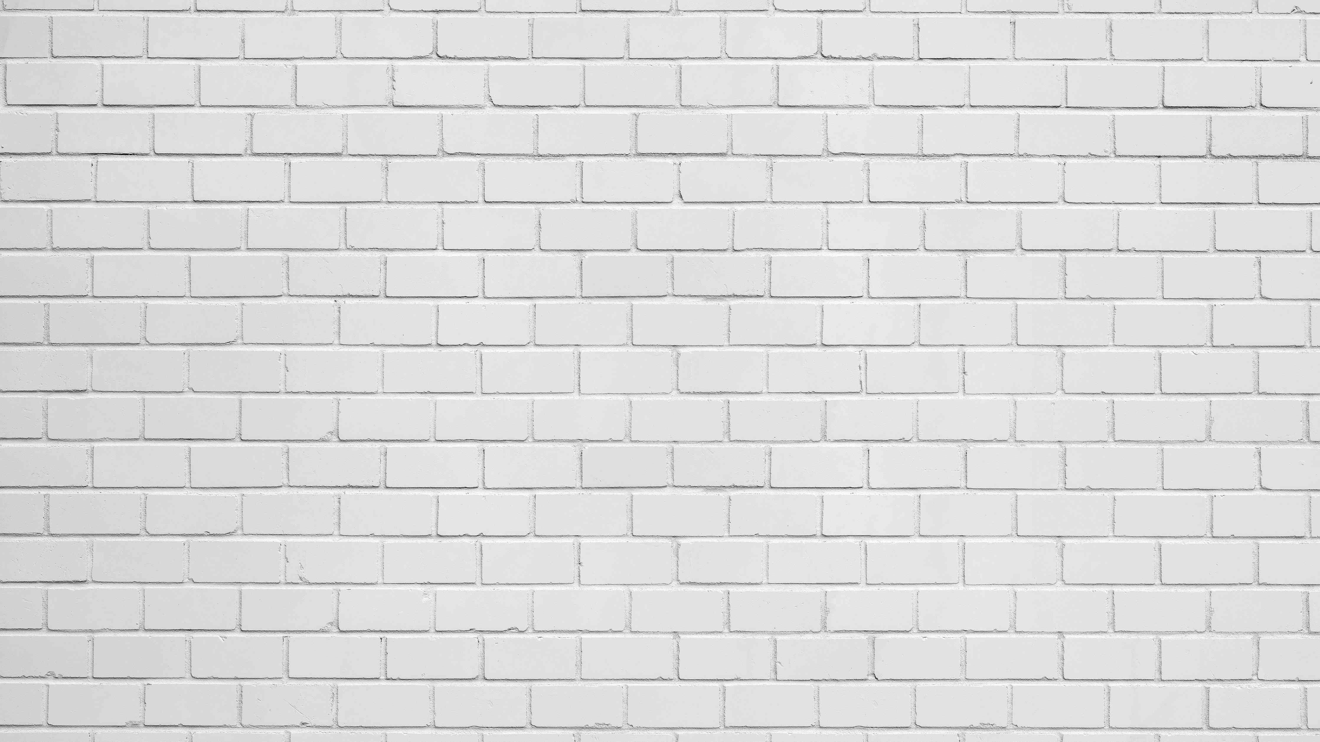 Badewannen-Rückwand-Weiße Ziegelwand - Zement