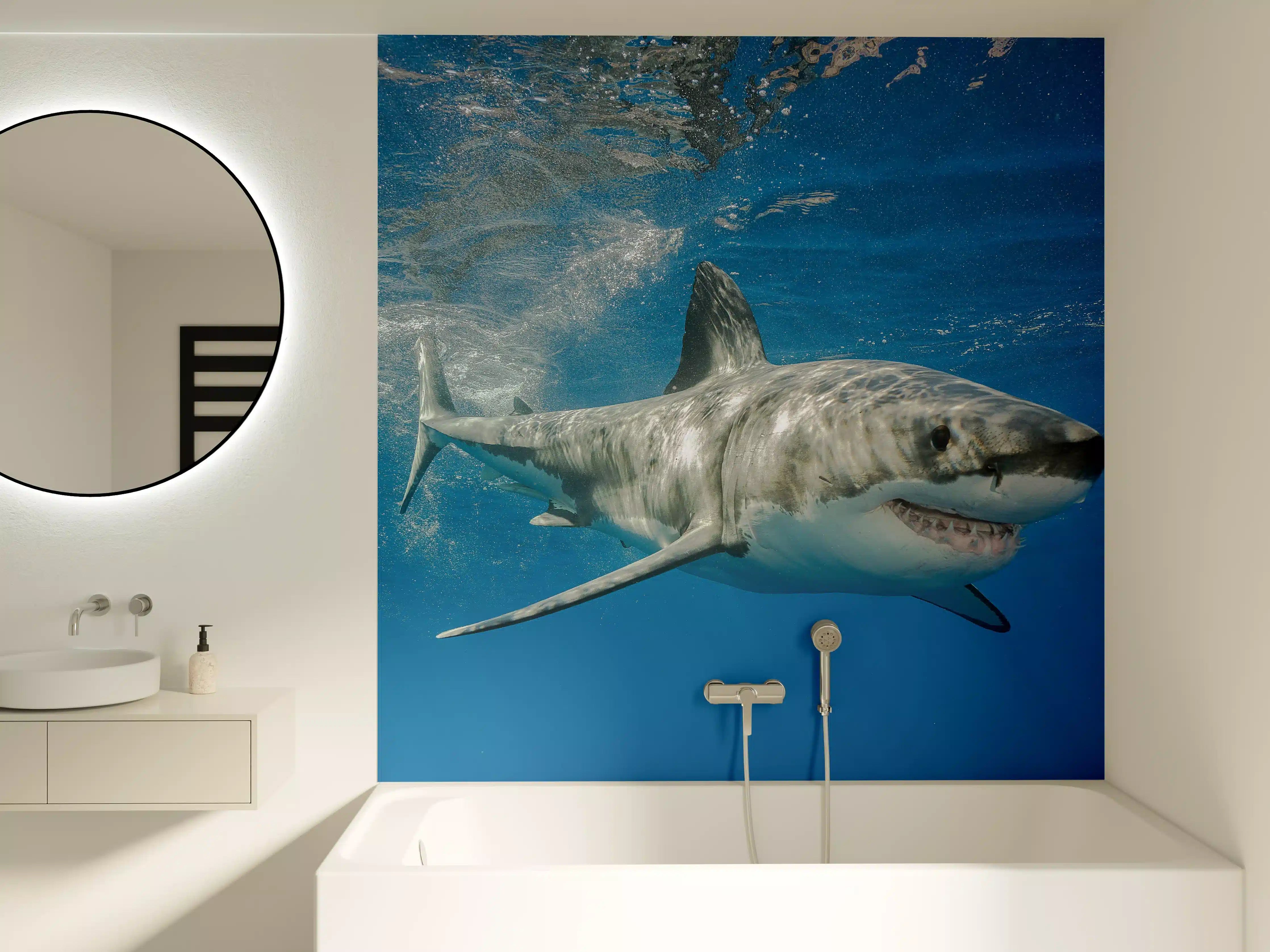 Badewannen-Rückwand - Weißer Hai in Unterwasseransicht