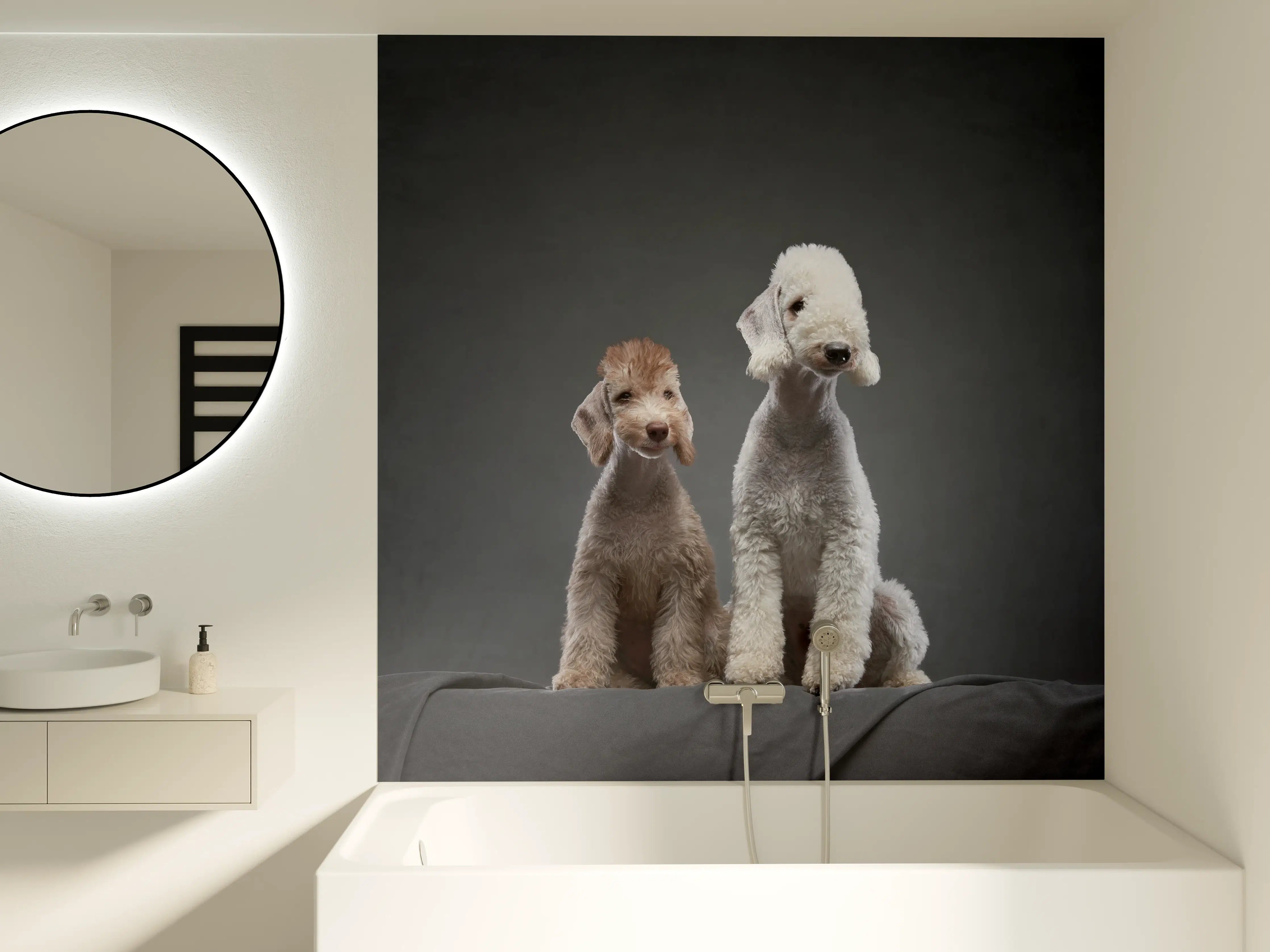 Badewannen-Rückwand - Welpe und erwachsener Bedlington Terrier