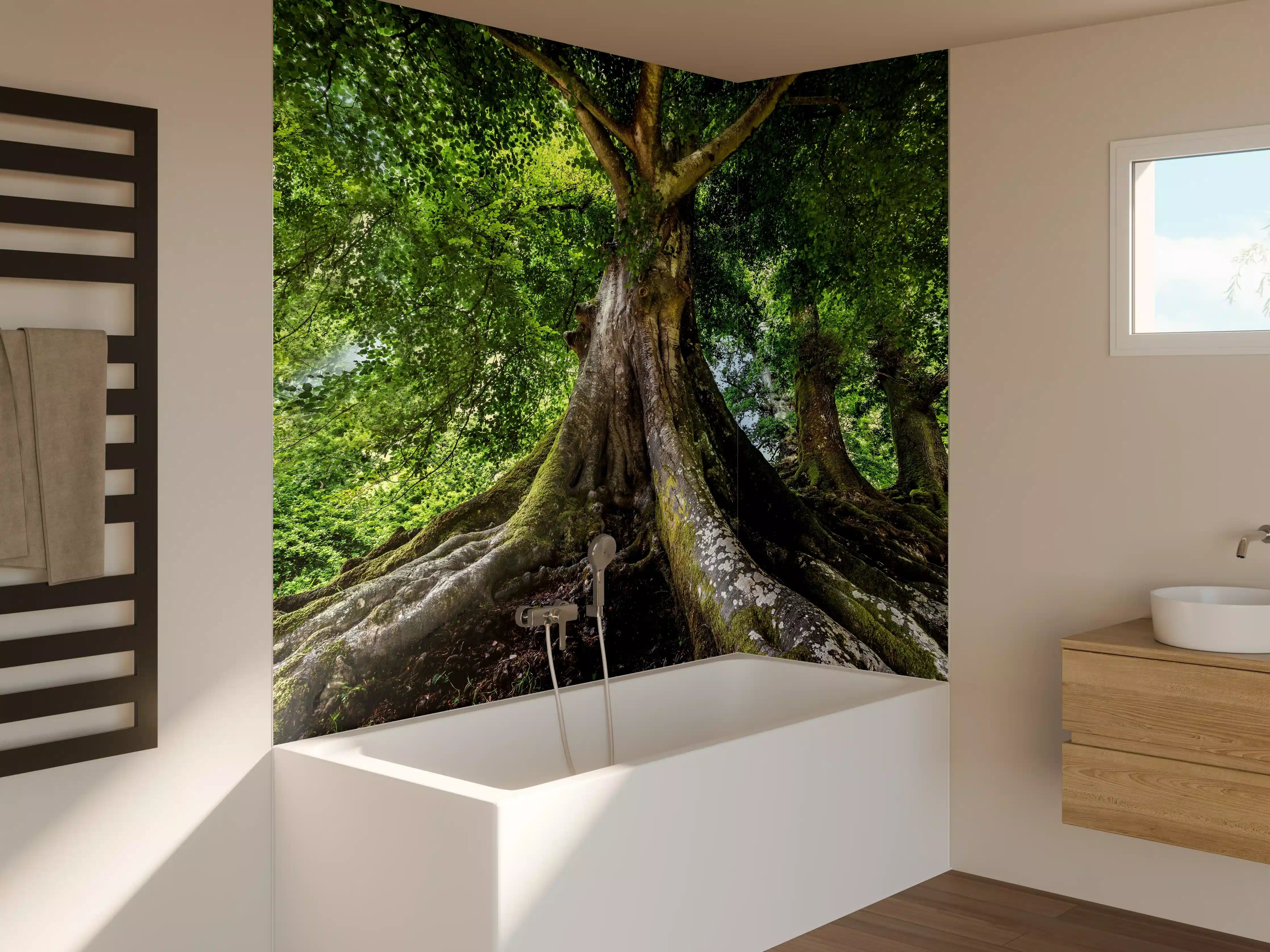 Badewannen-Rückwand - großer alter Baum in Froschperspektive