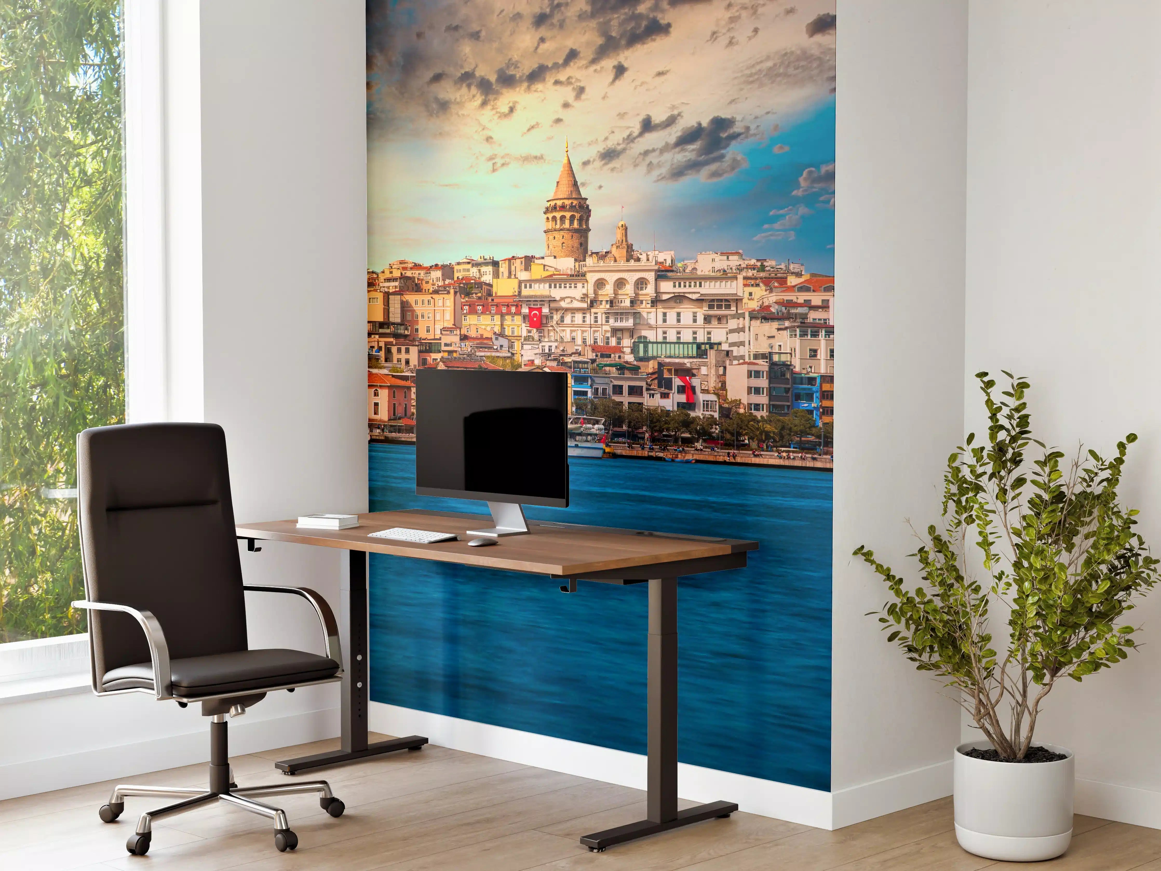 Büro Wandgestaltung - Ausblick auf Galata vom Wasser