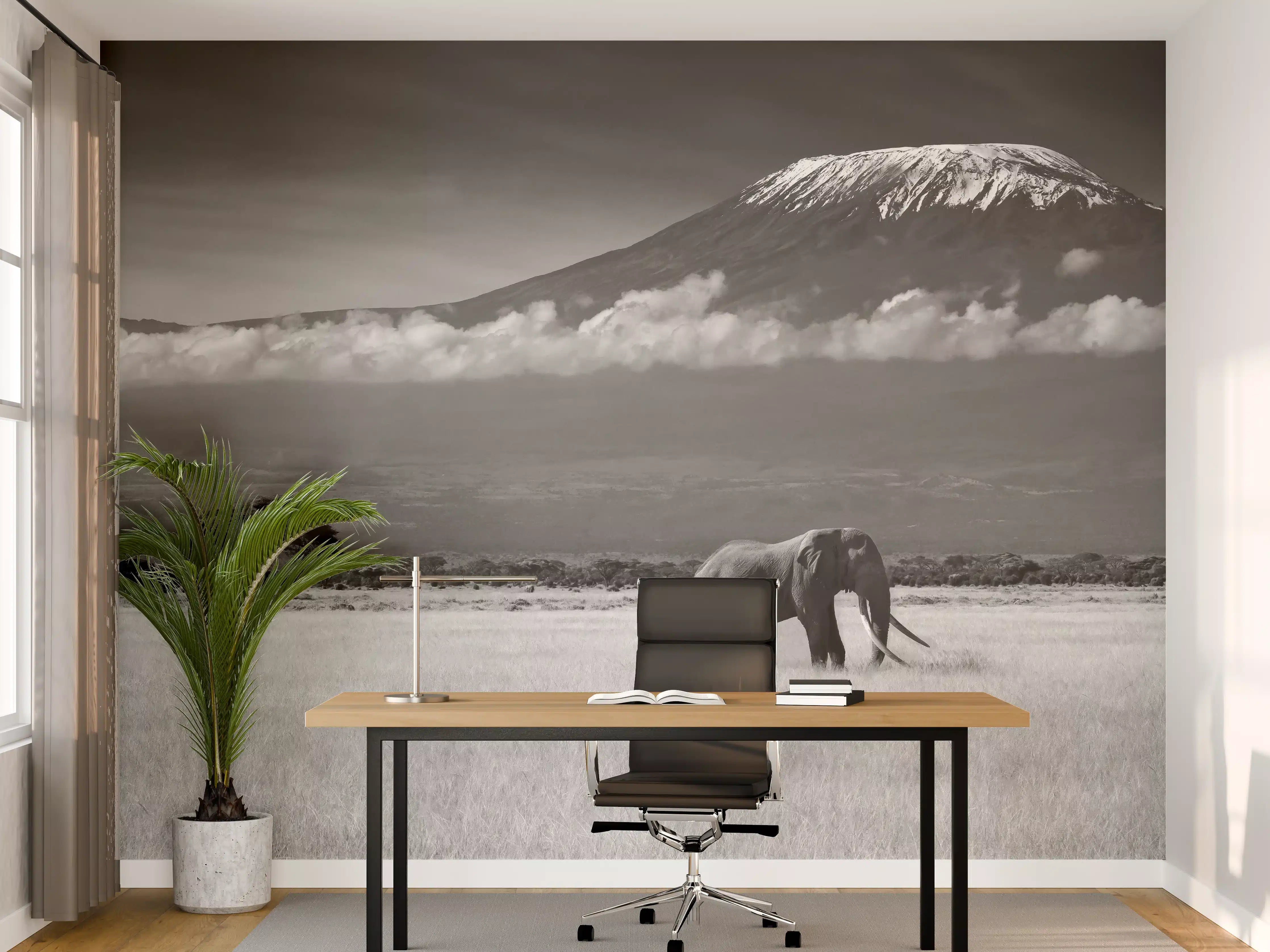 Büro Wandgestaltung - Afrikanische Landschaft - Schwarz-weiß