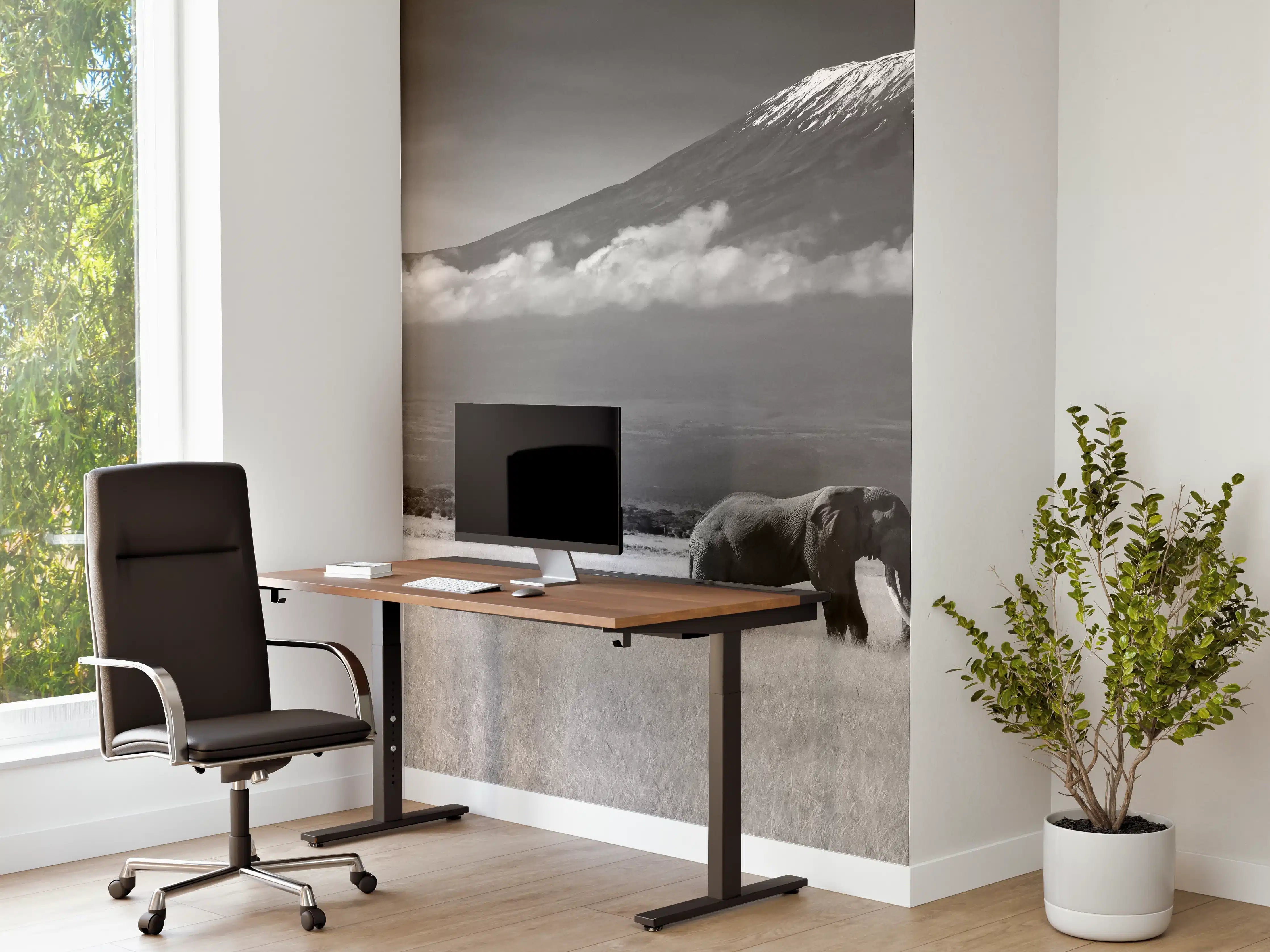 Büro Wandgestaltung - Afrikanische Landschaft - Schwarz-weiß