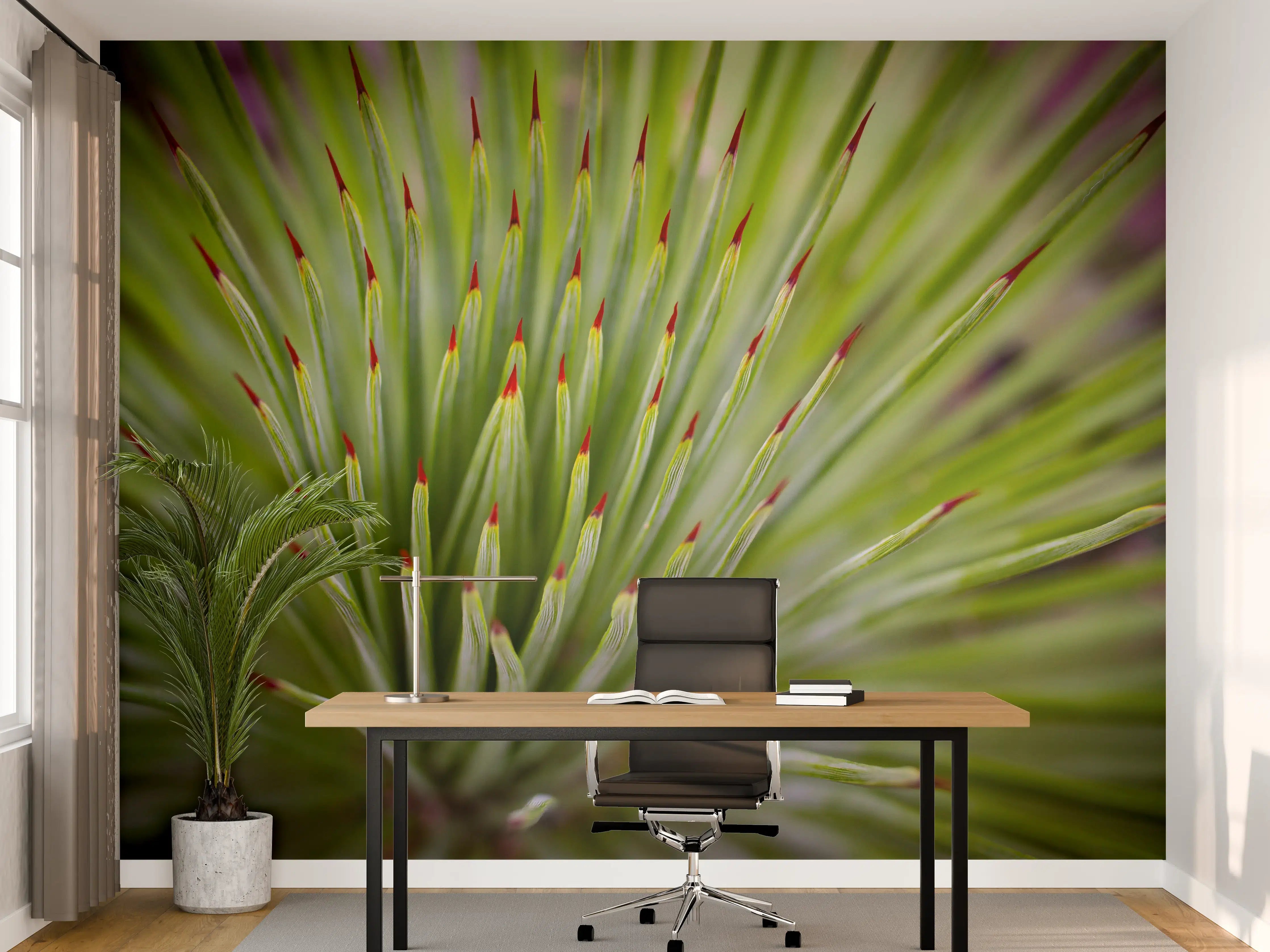 Büro Wandgestaltung - Agave striata im Detail