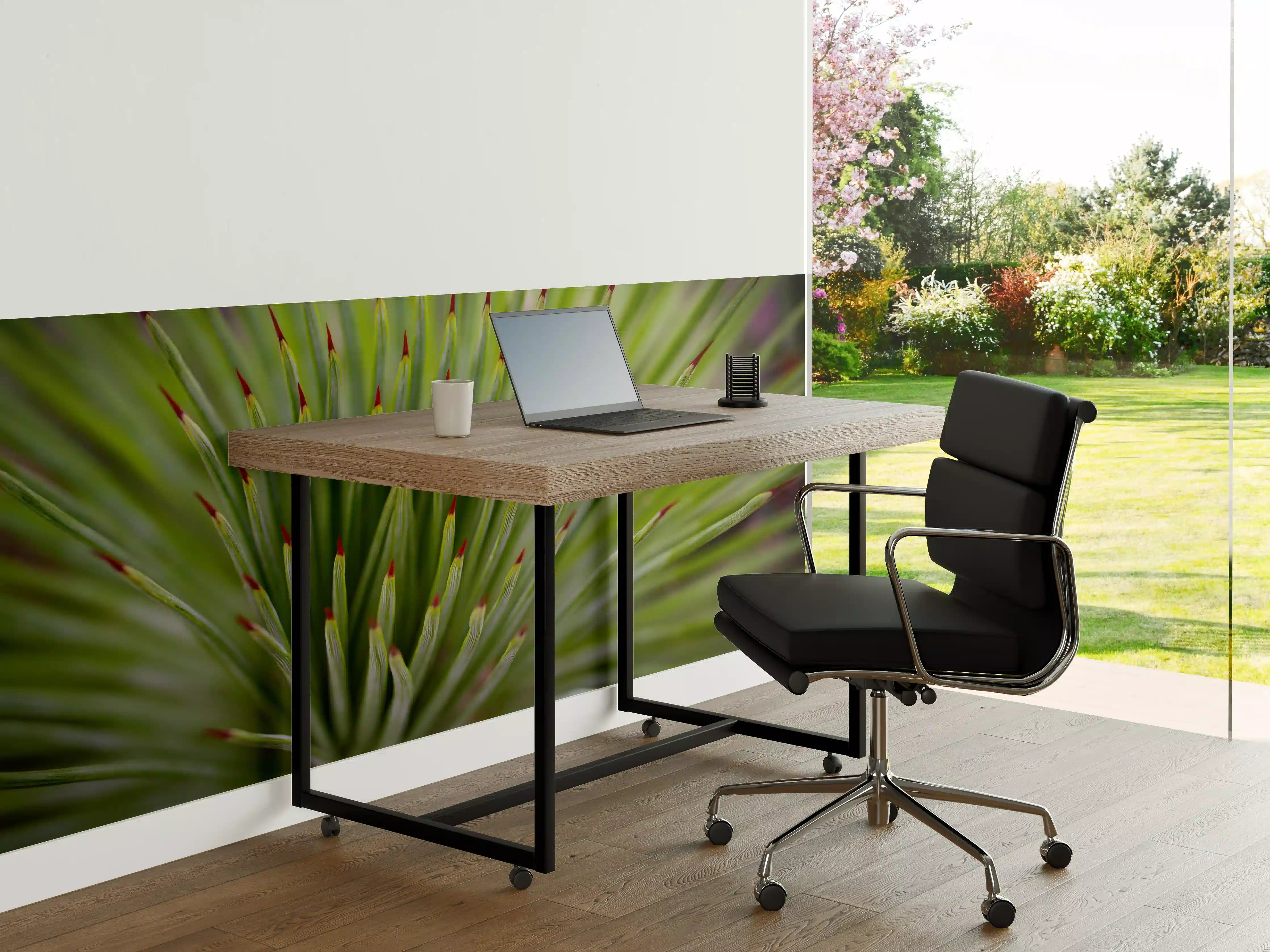 Büro Wandgestaltung - Agave striata im Detail