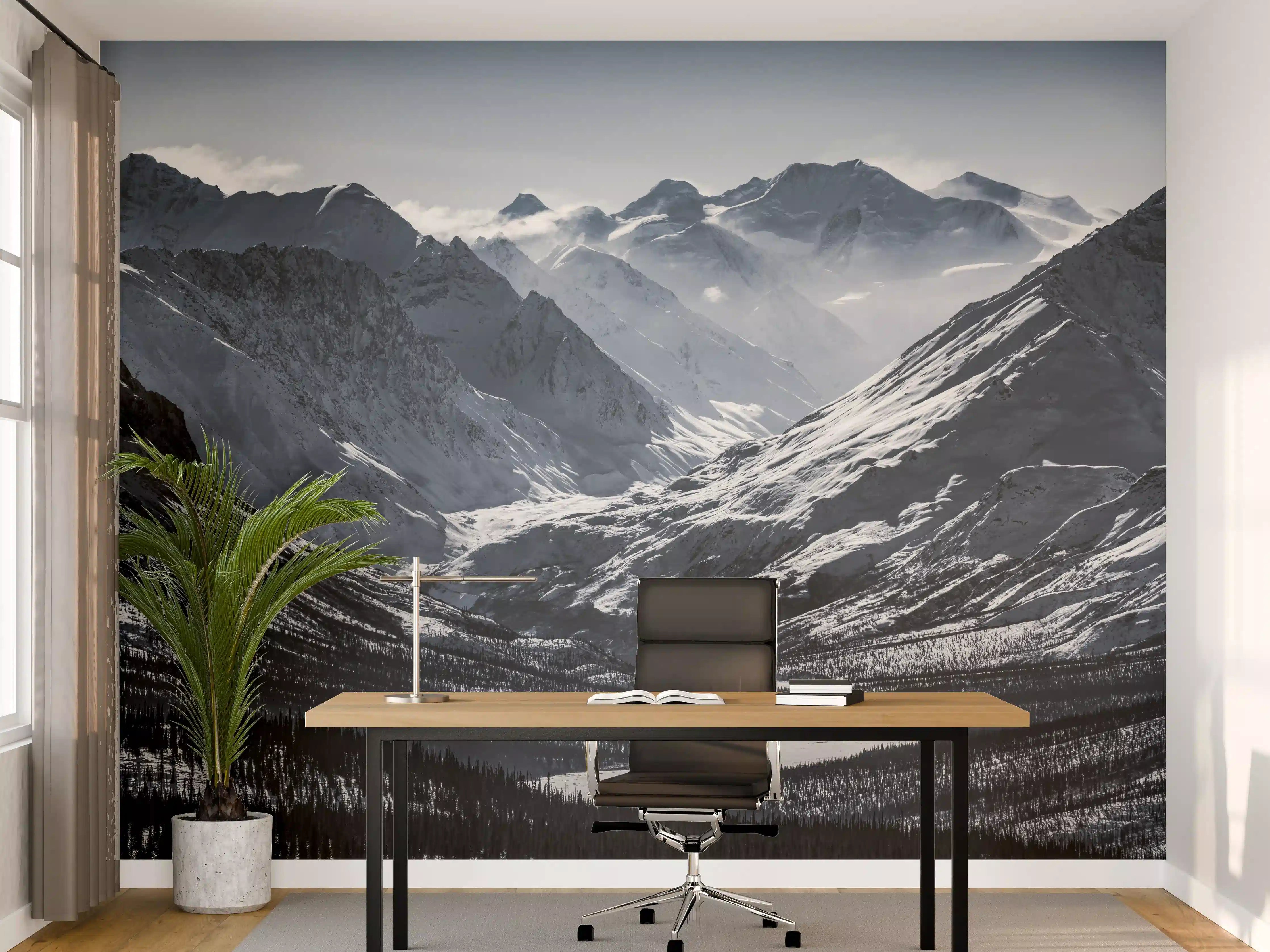 Büro Wandgestaltung - Alaskas Bergwelt in Weiß-Grau