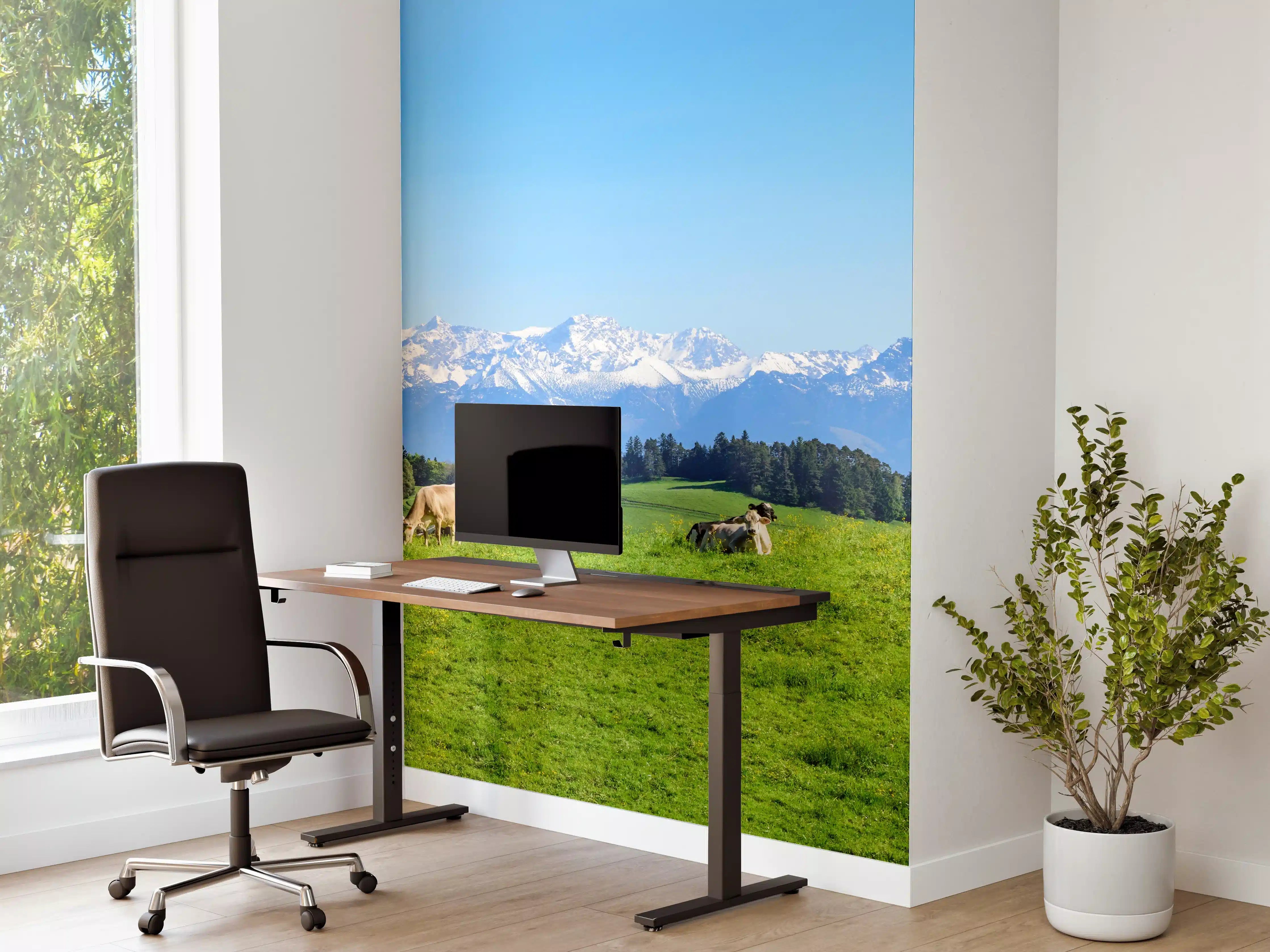 Büro Wandgestaltung - Almwiese mit Kühen und Alpenblick