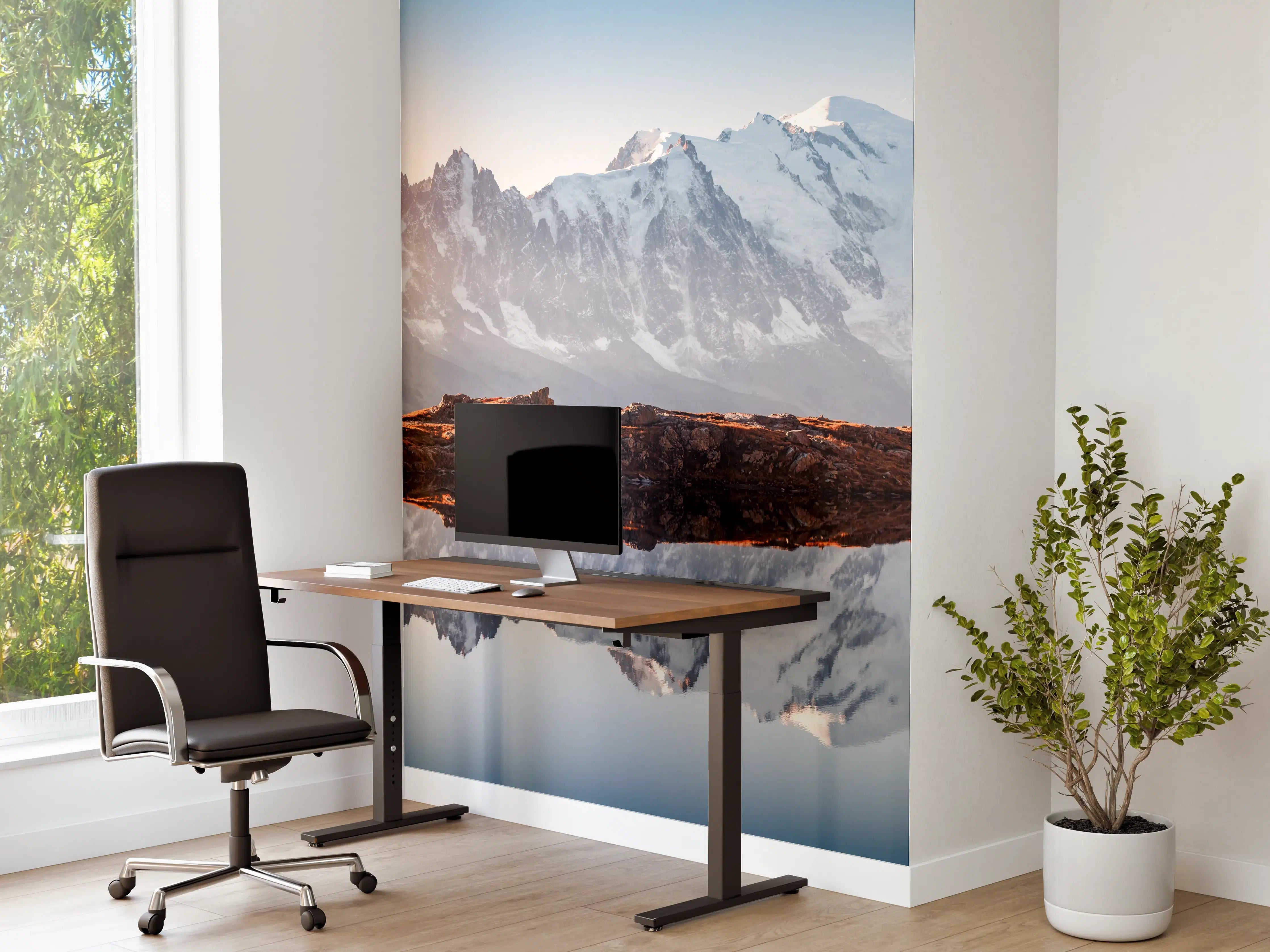 Büro Wandgestaltung - Alpen Panorama am Lac Blanc