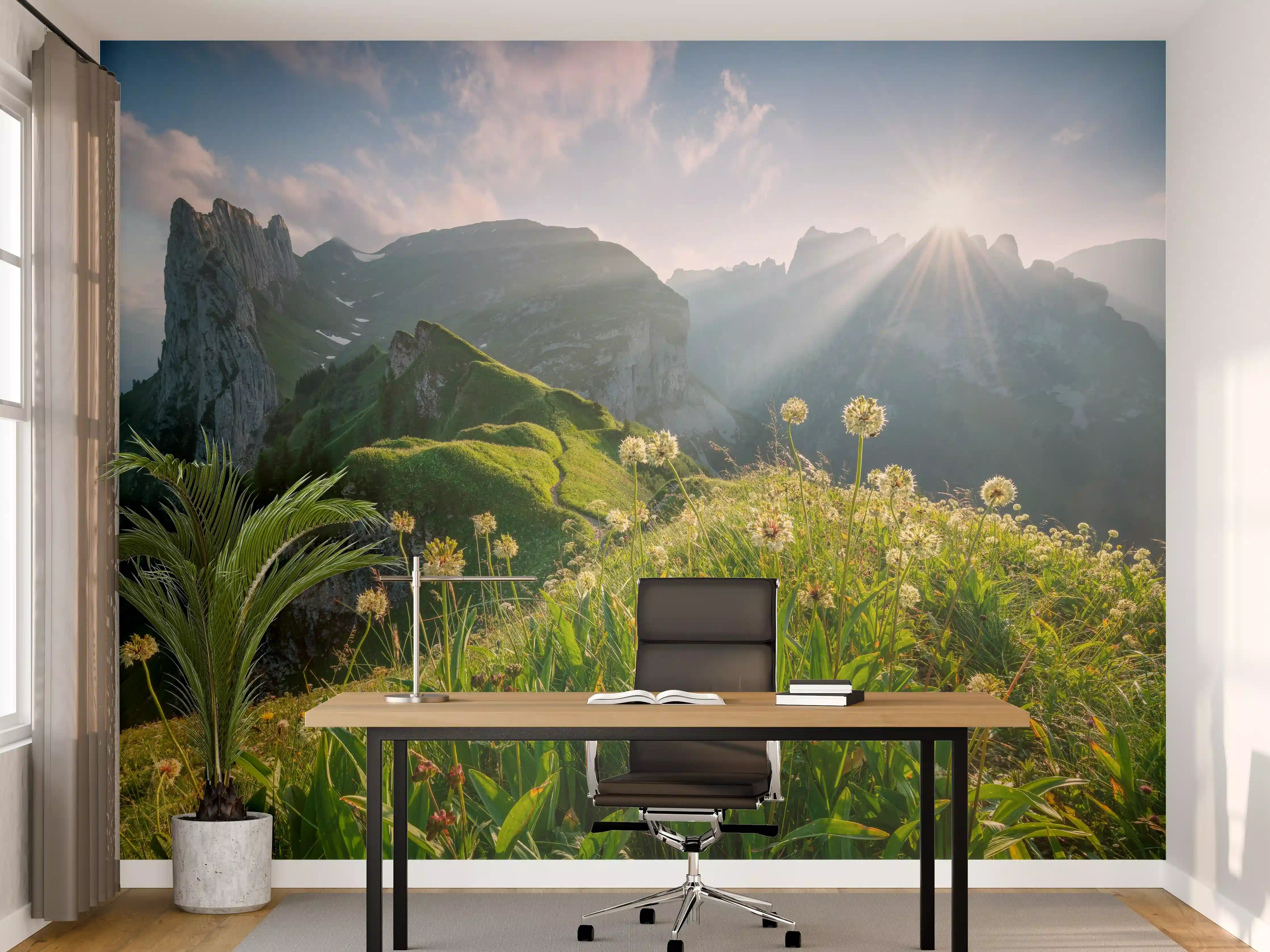 Büro Wandgestaltung - Alpenwiesen im Sommerlicht