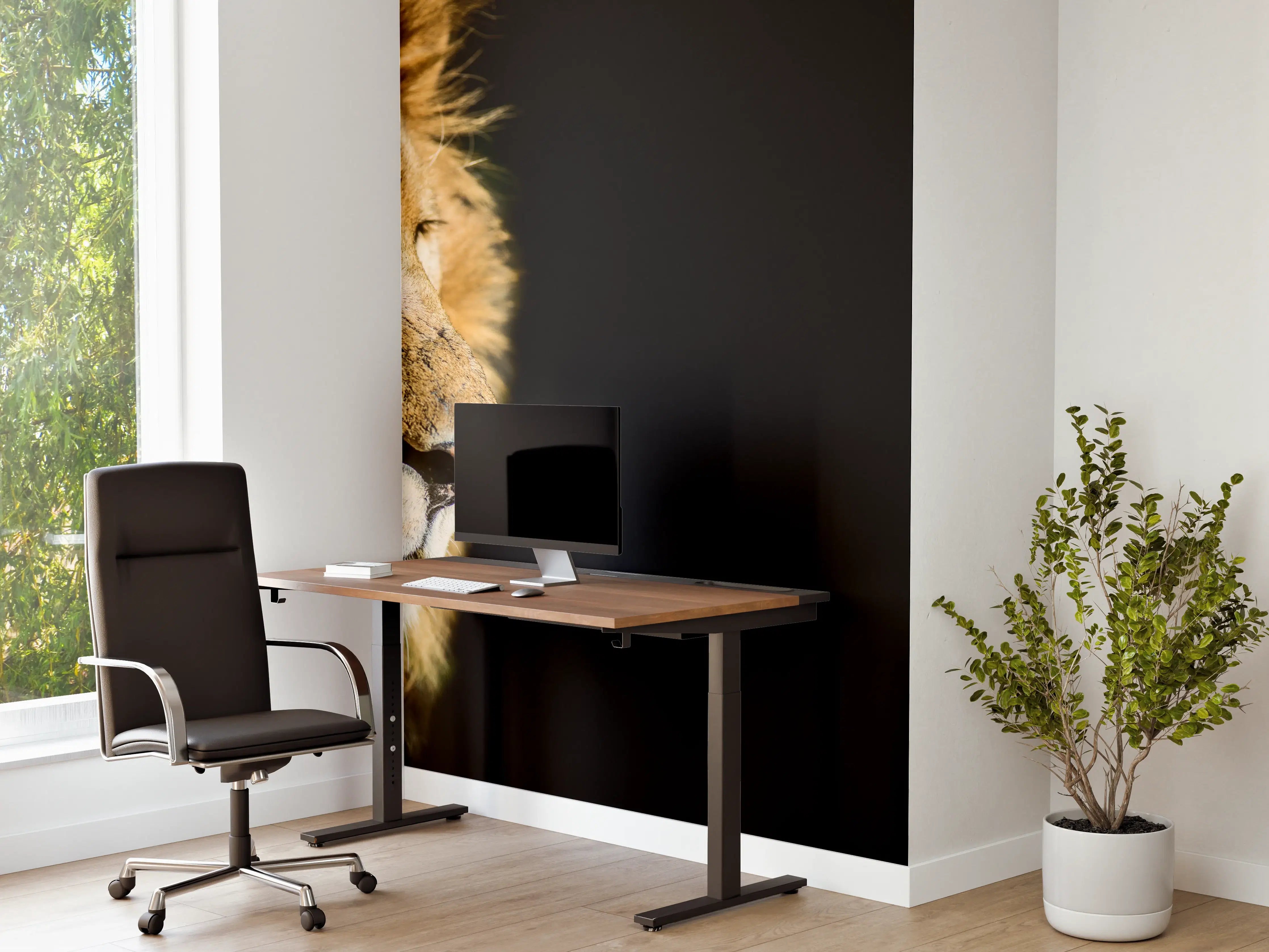 Büro Wandgestaltung - Alter Löwe auf schwarzem Hintergrund