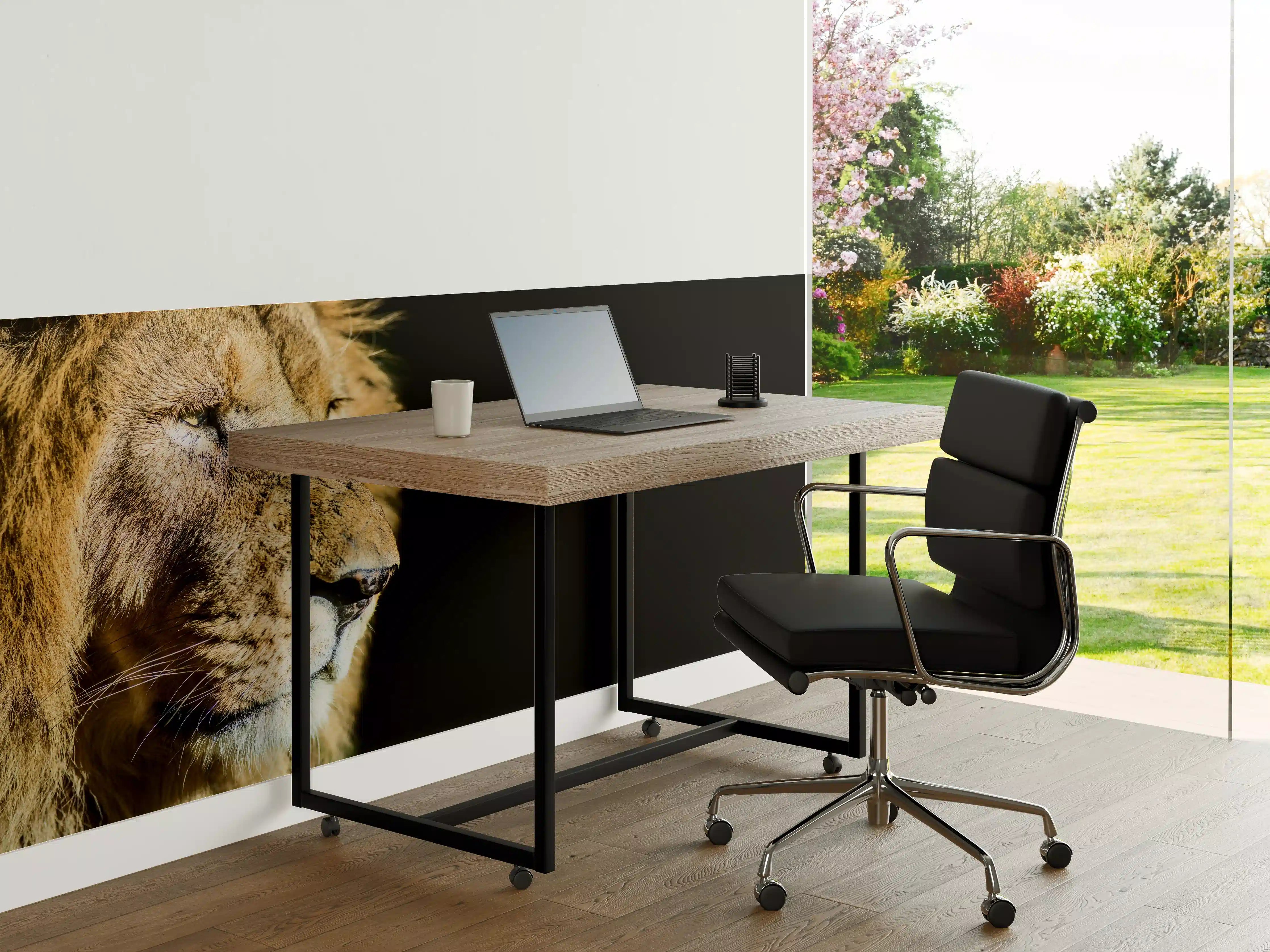 Büro Wandgestaltung - Alter Löwe auf schwarzem Hintergrund
