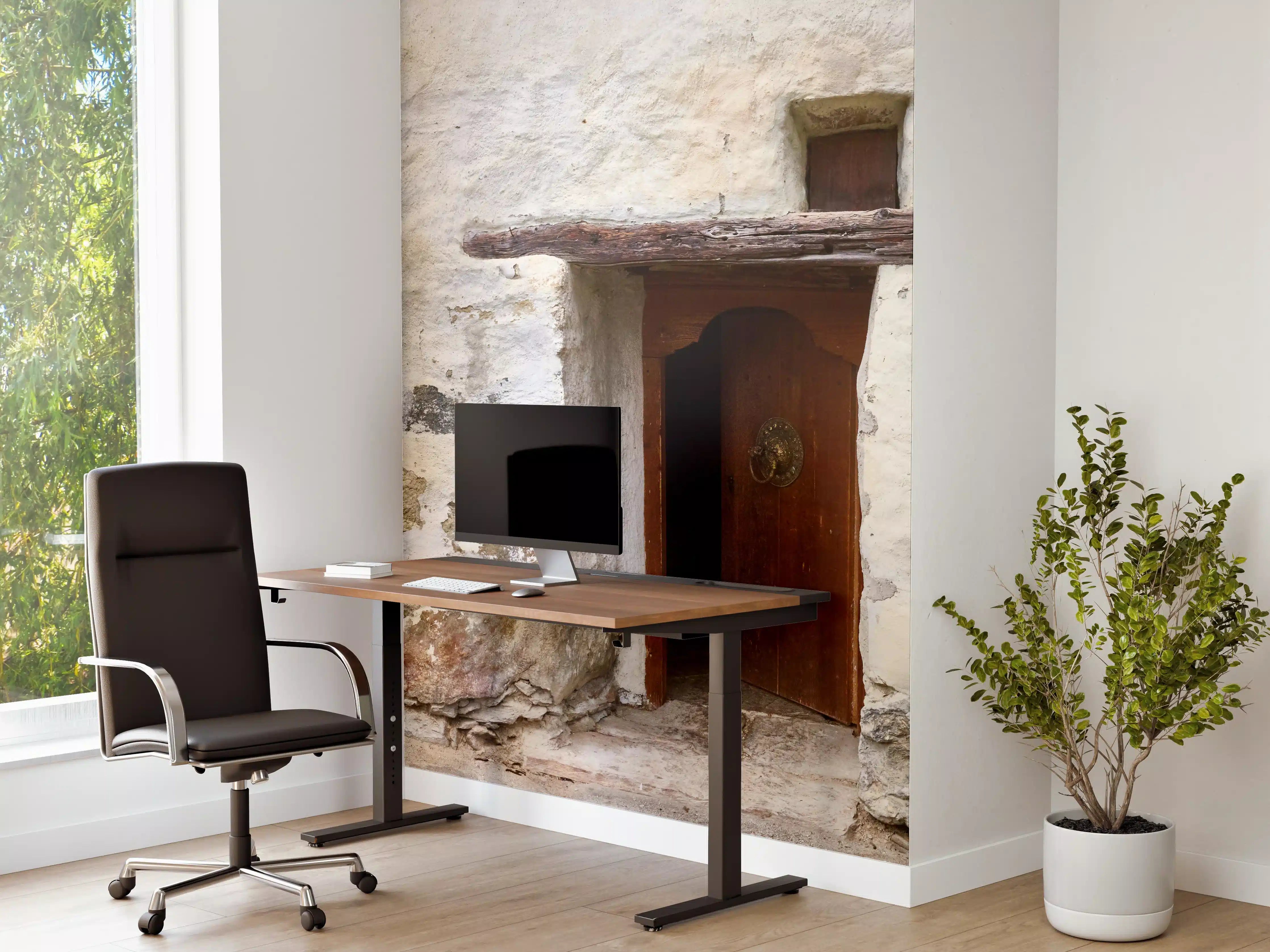 Büro Wandgestaltung - Alter Türeingang in Südtirol