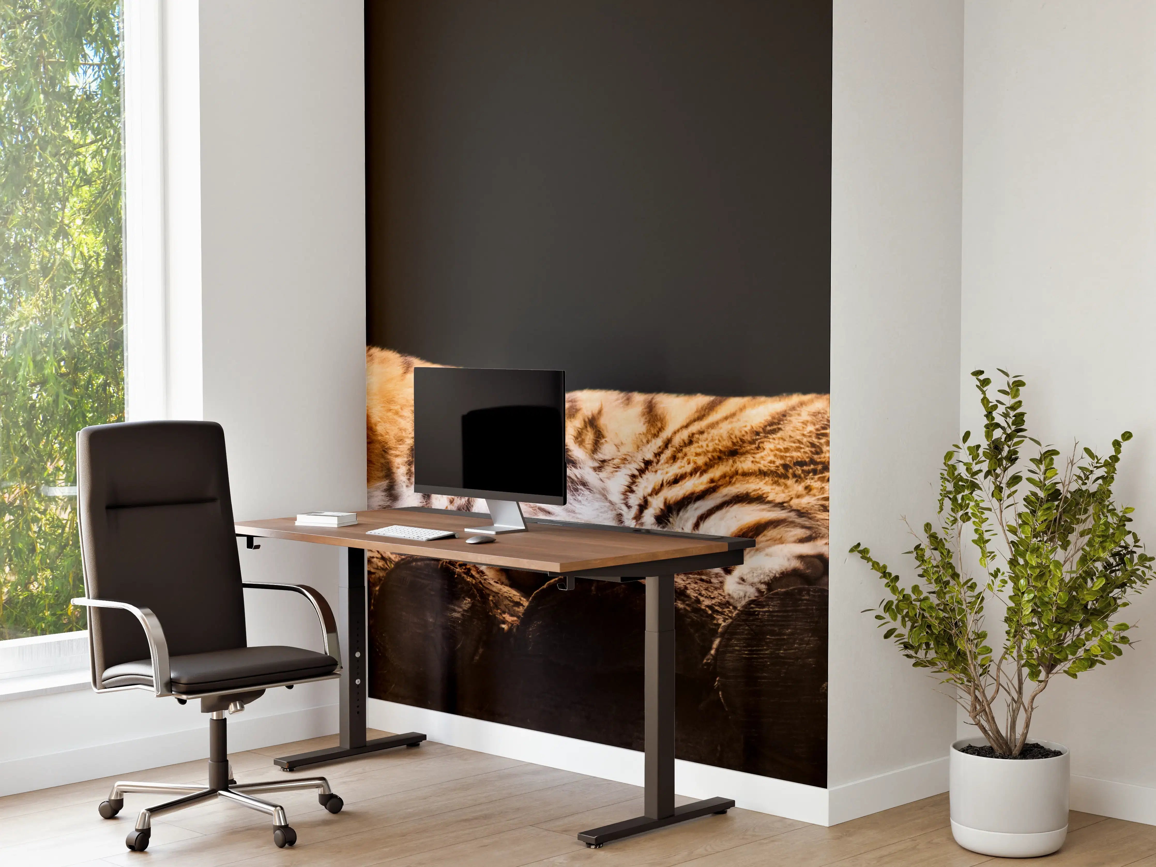 Büro Wandgestaltung - Amurtiger liegend auf Holzdeck mit Schwarzem Hintergrund