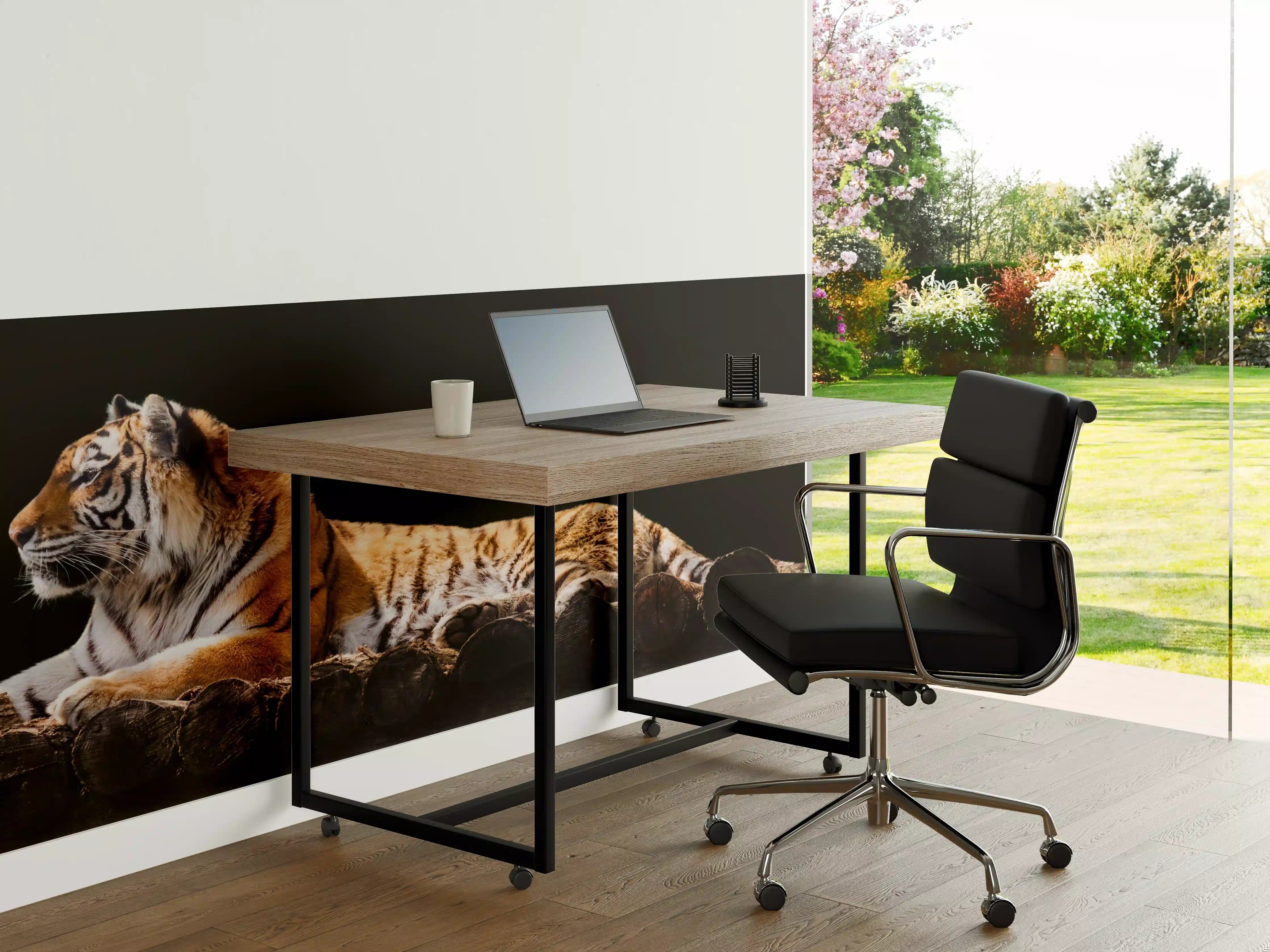 Büro Wandgestaltung - Amurtiger liegend auf Holzdeck mit Schwarzem Hintergrund