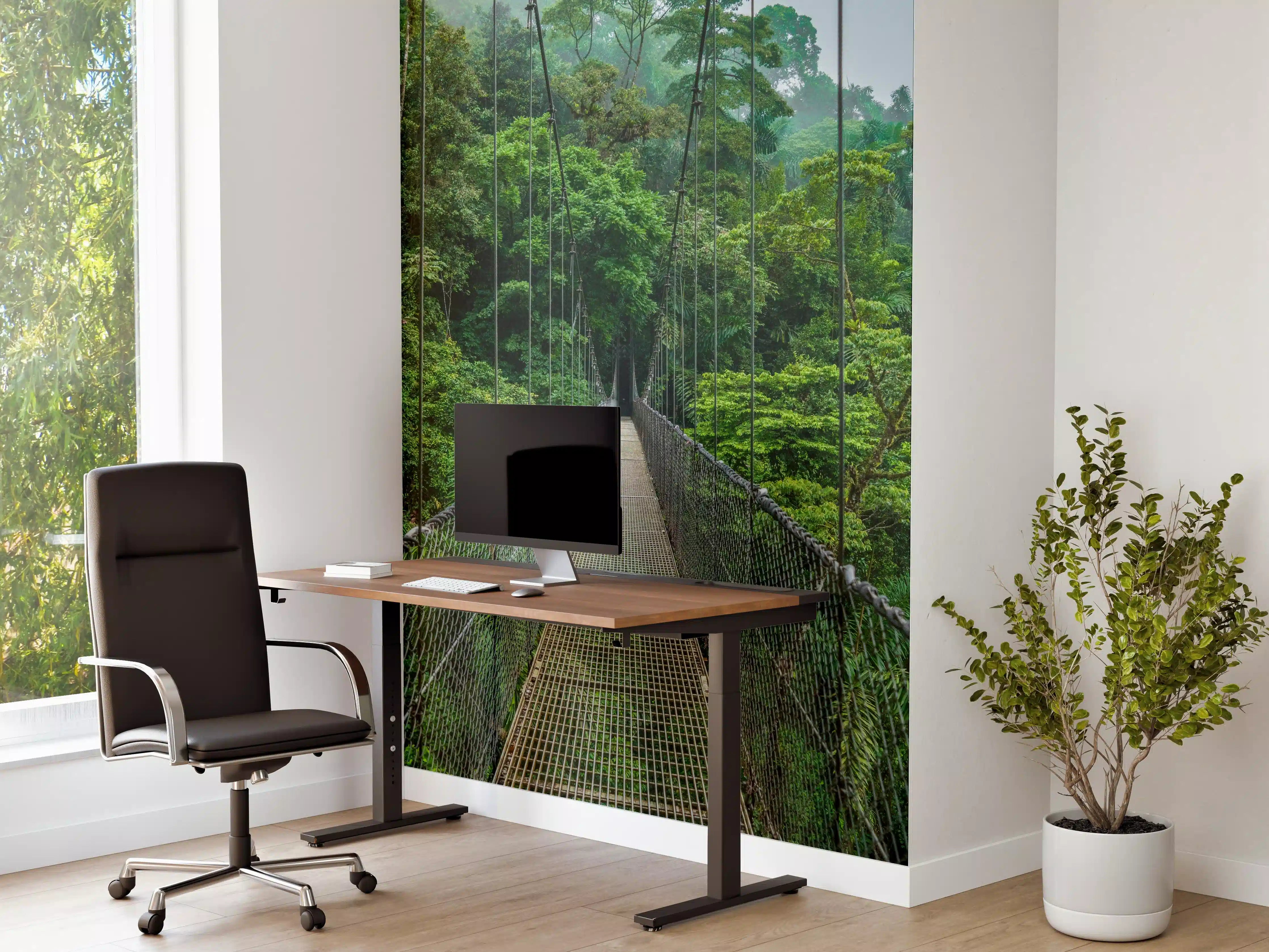 Büro Wandgestaltung - Arenal-Hängebrücke - Costa Rica