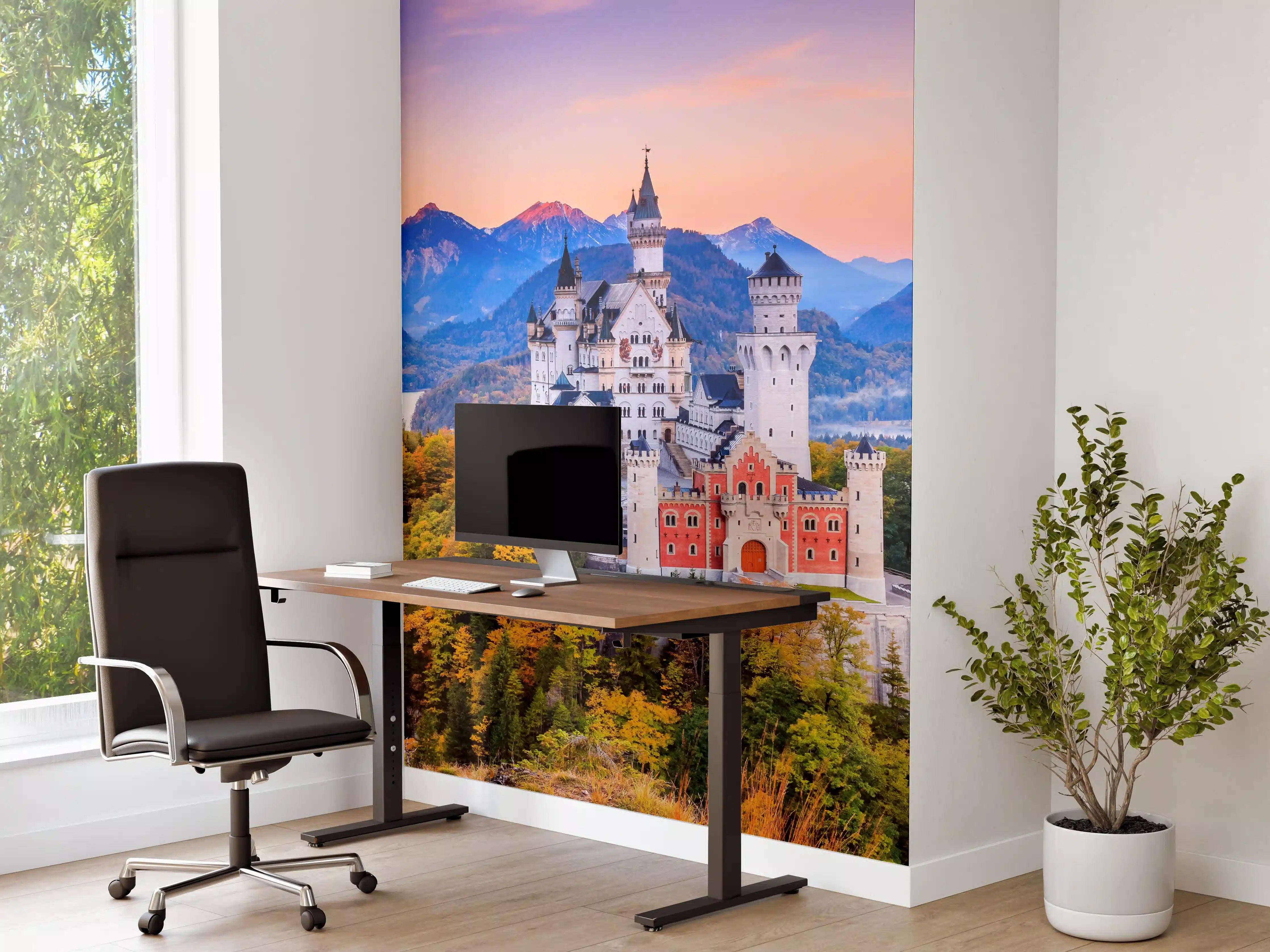 Büro Wandgestaltung - Ästhetisches Schloss Neuschawn