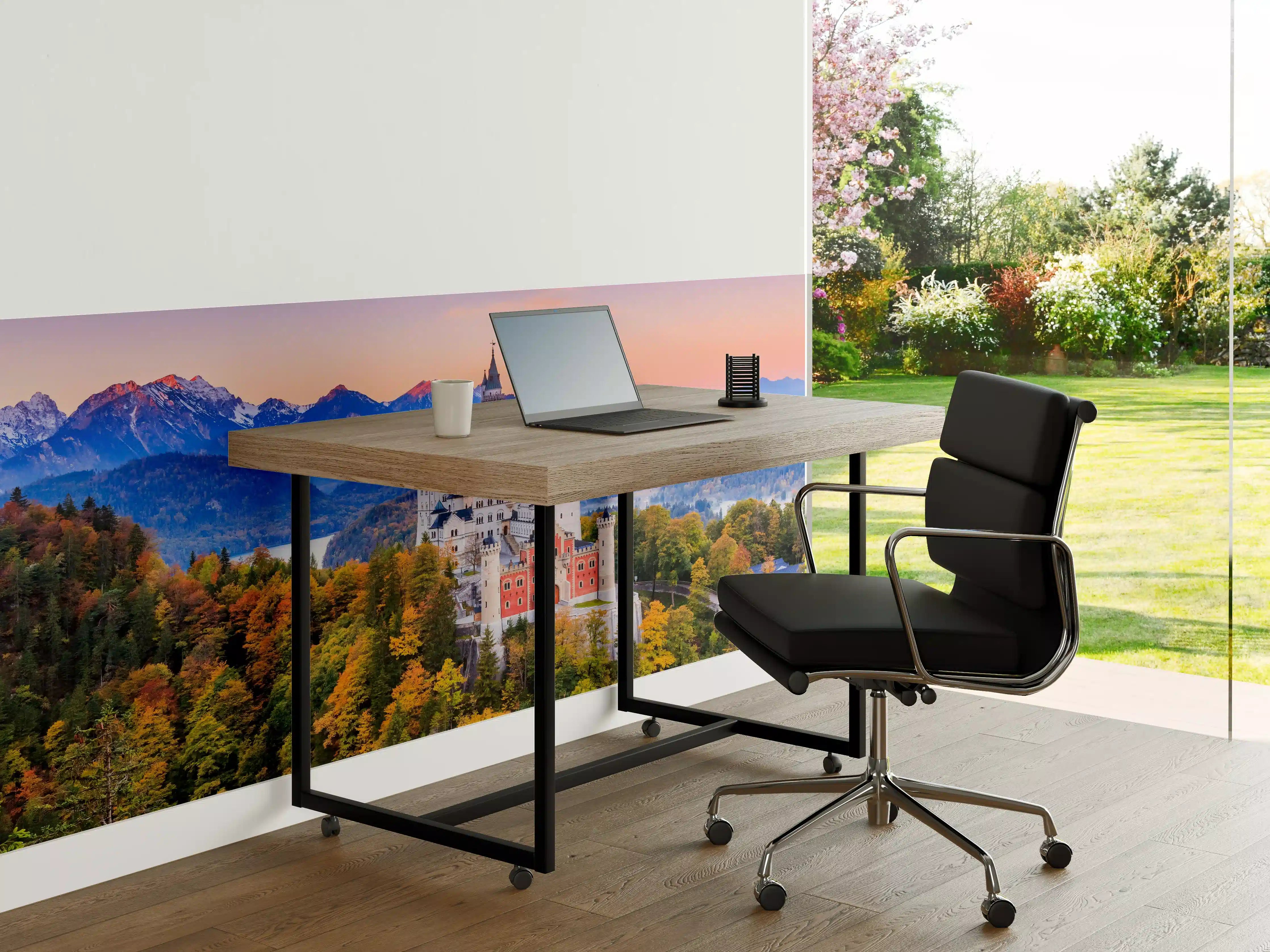 Büro Wandgestaltung - Ästhetisches Schloss Neuschawn