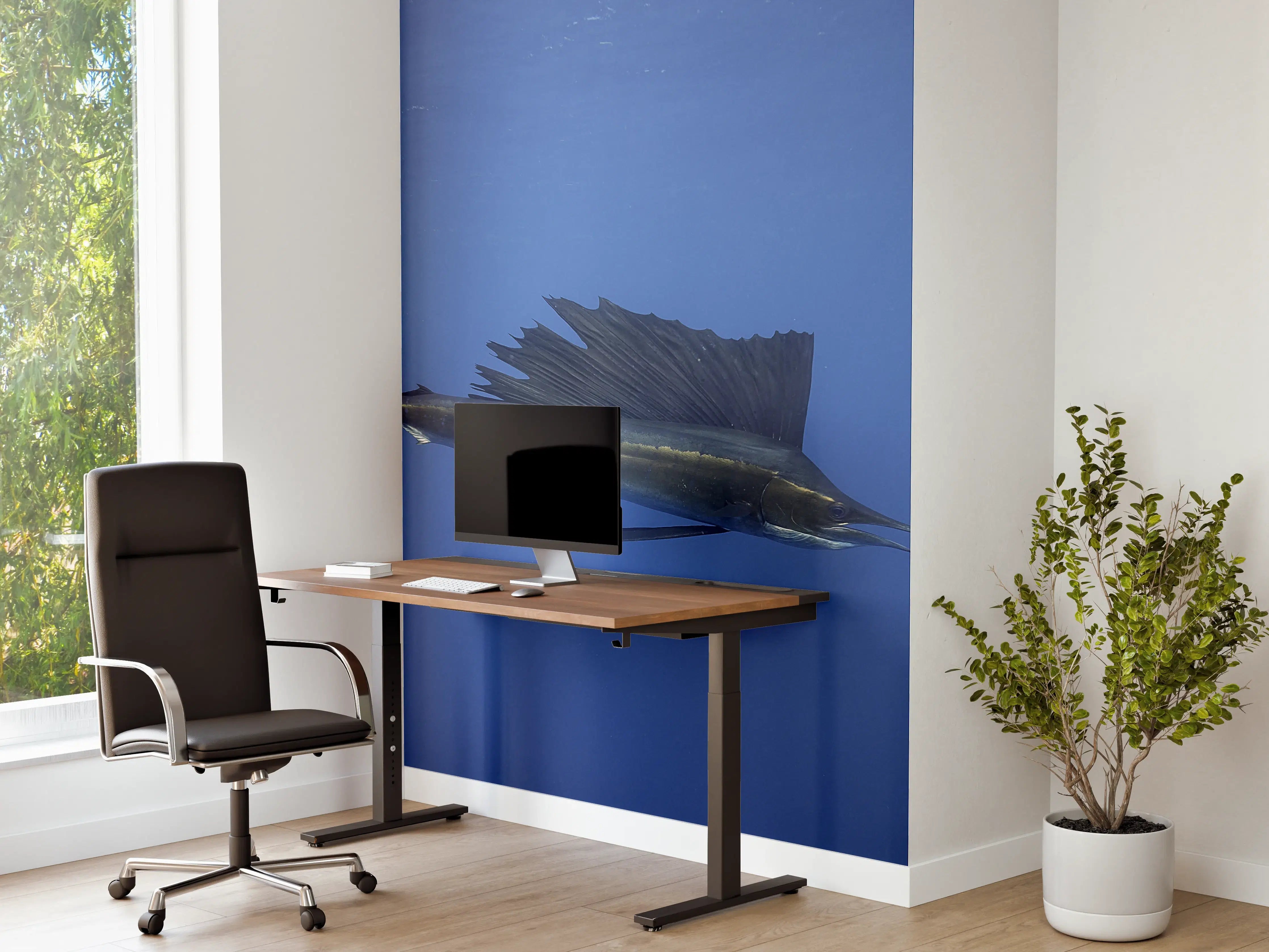 Büro Wandgestaltung - Atlantischer Segelfisch vor Küste Mexico