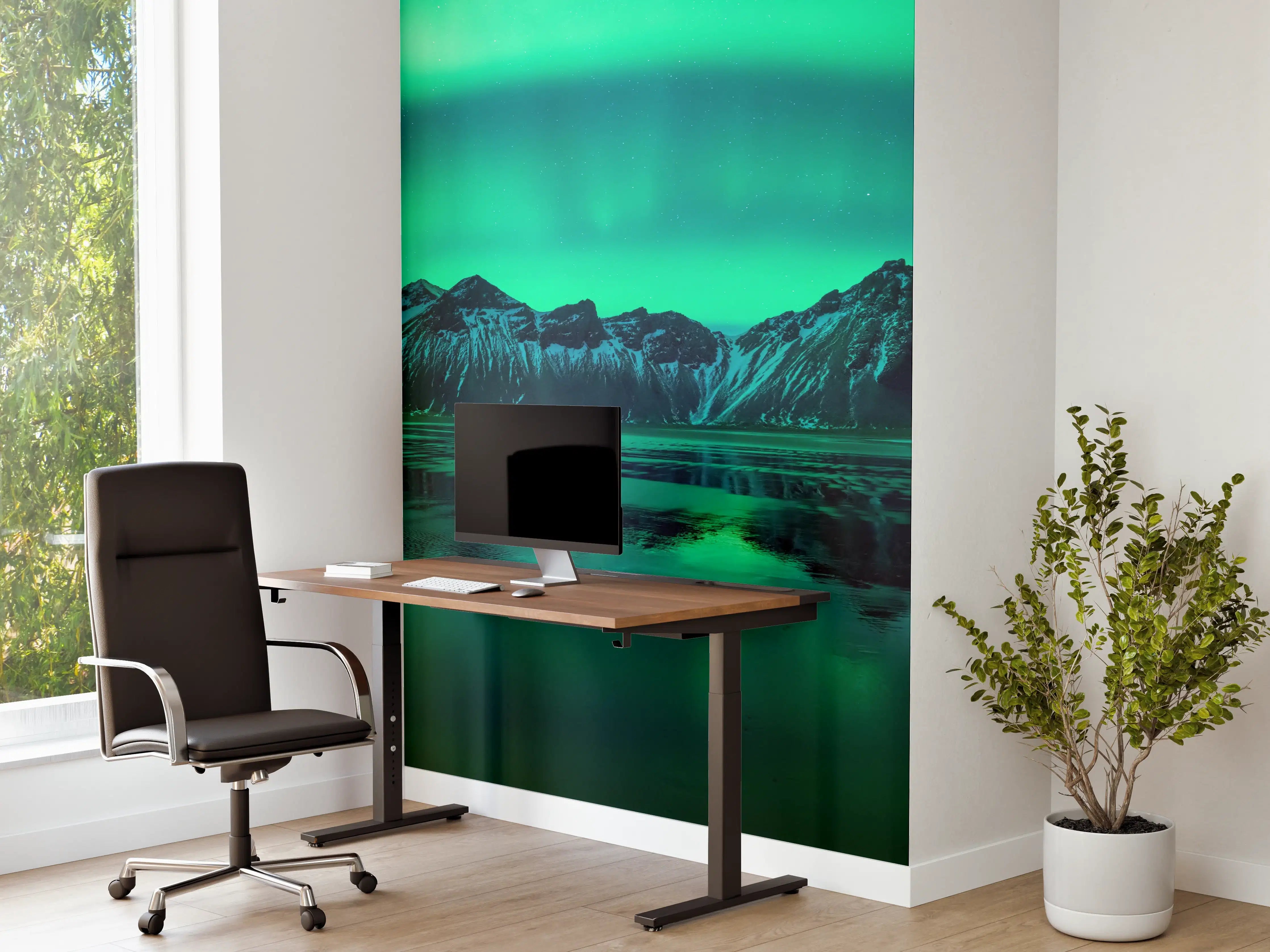 Büro Wandgestaltung - Aurora Stokksnes - Island