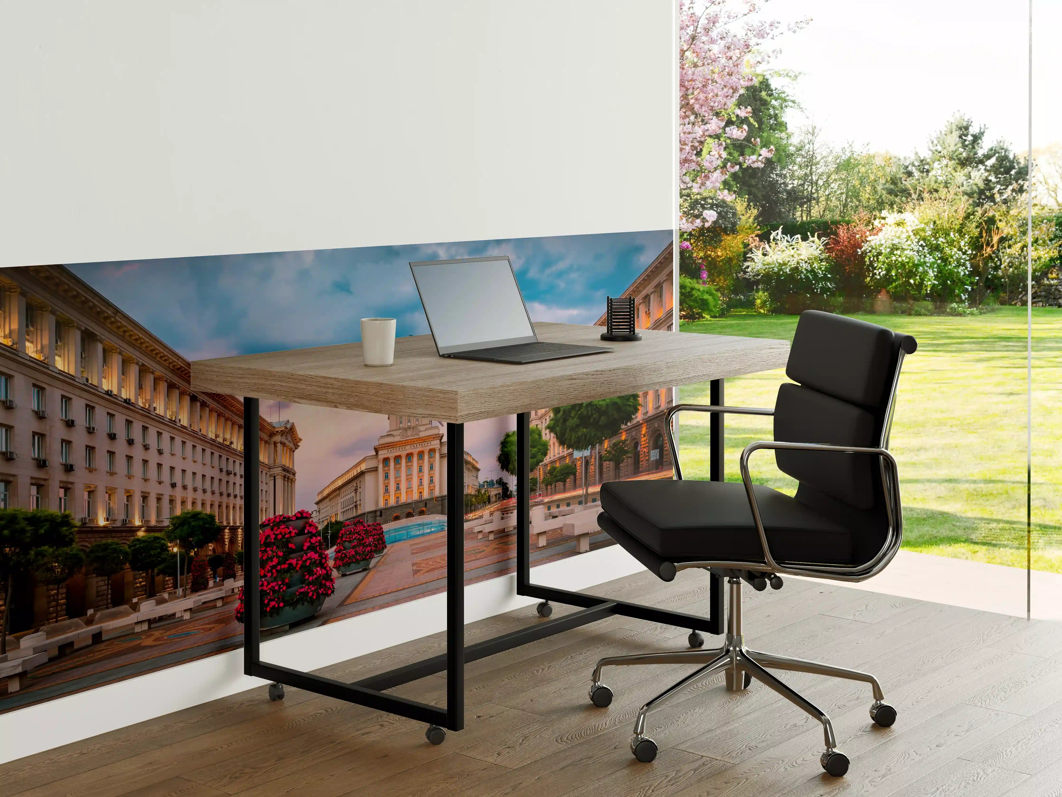 Büro Wandgestaltung - Aussicht auf das Stadtzentrum von Sofia