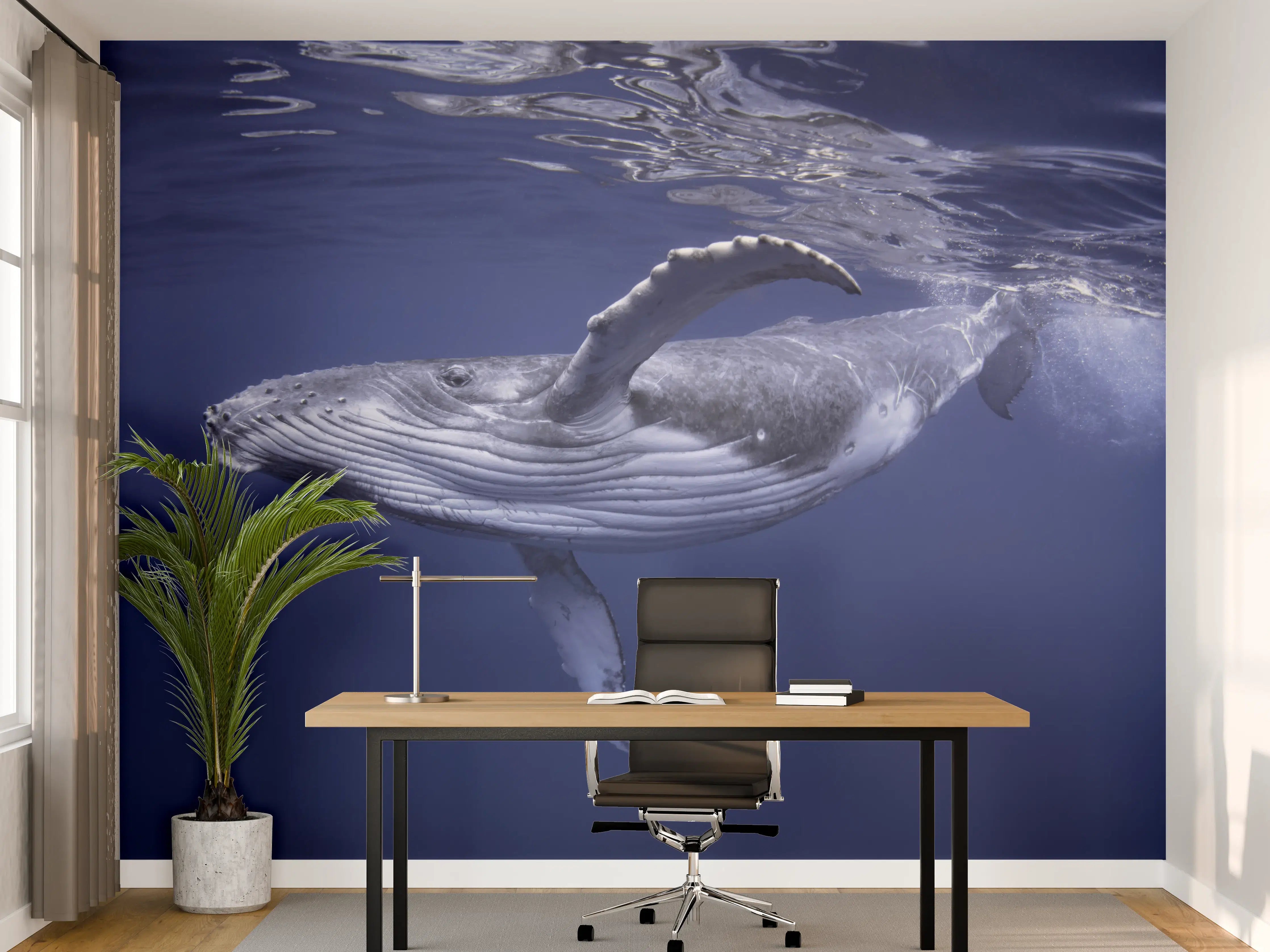 Büro Wandgestaltung - Baby-Buckelwal-Kalb im blauen Wasser