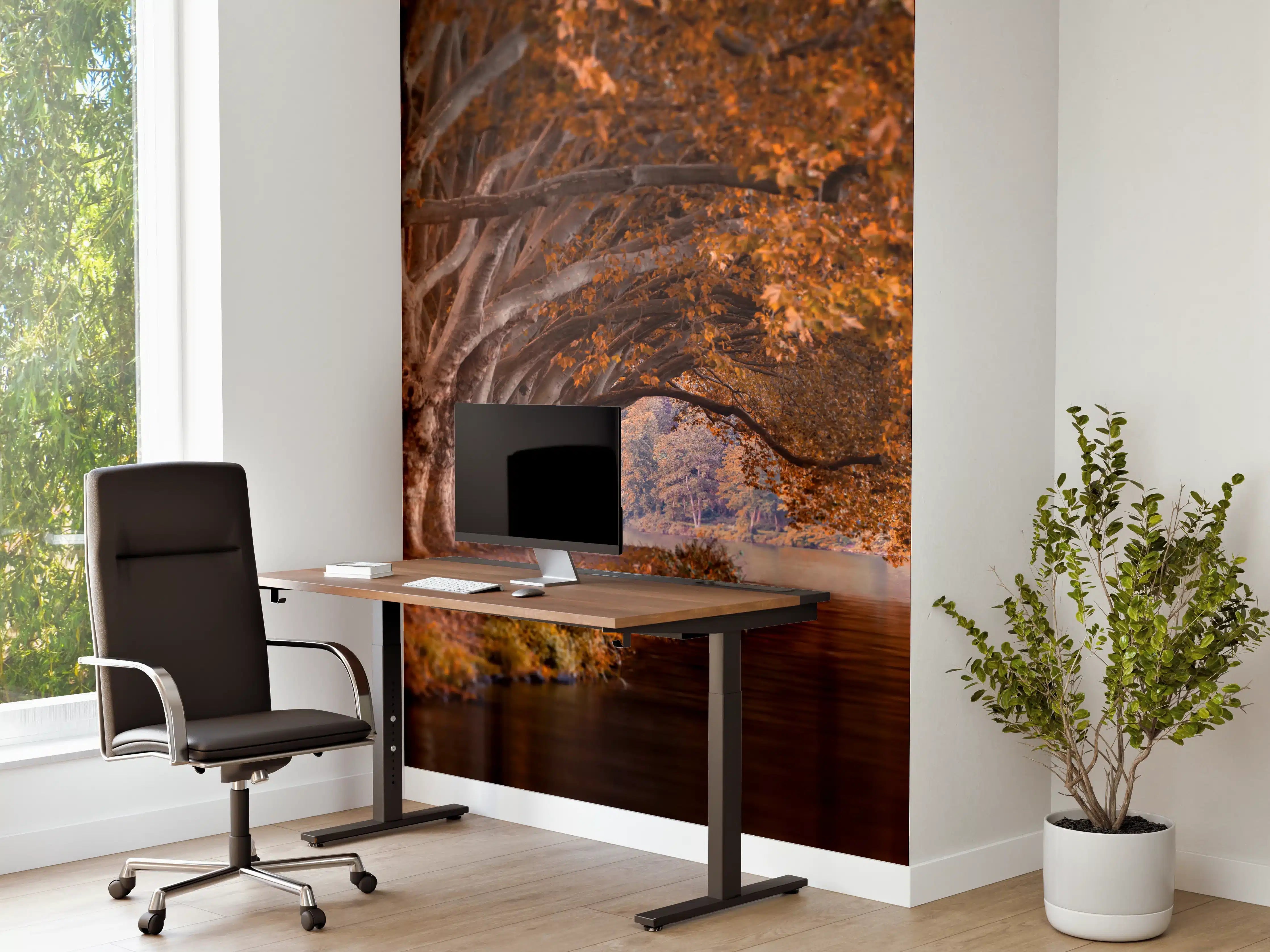 Büro Wandgestaltung - Baldeneysee in Essen im Herbst