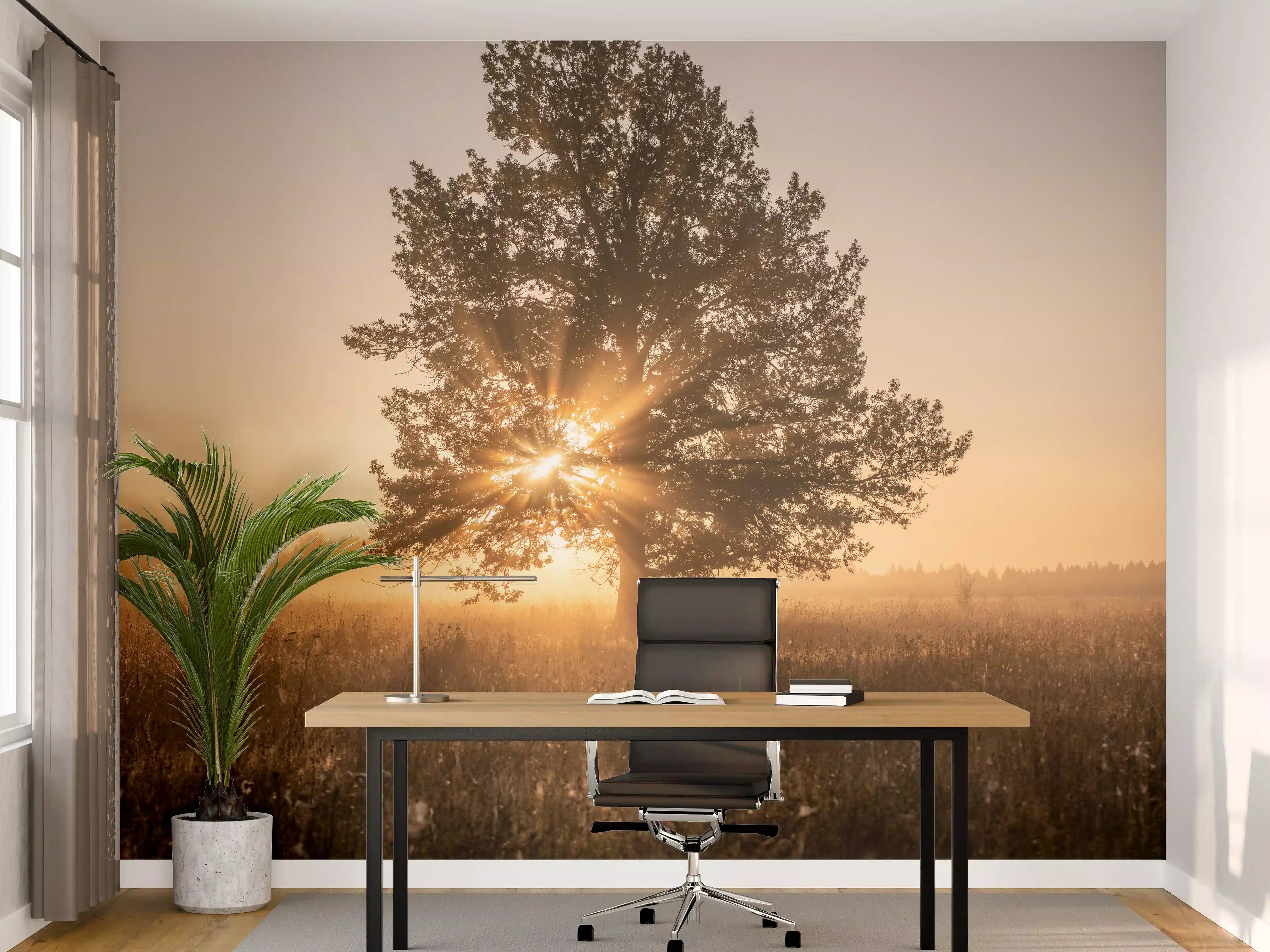 Büro Wandgestaltung - Baum an einem frühen Herbstmorgen in Russland