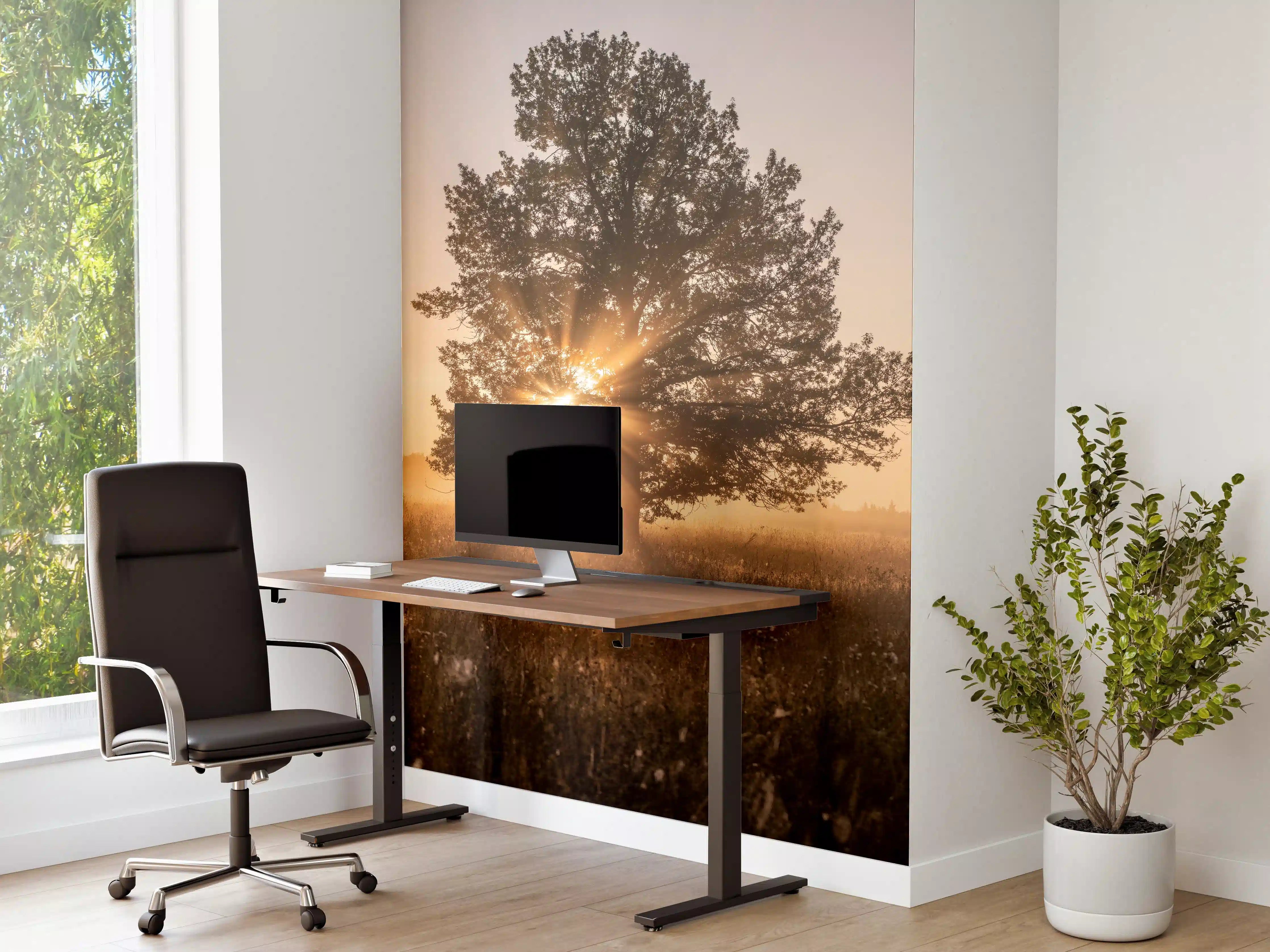 Büro Wandgestaltung - Baum an einem frühen Herbstmorgen in Russland