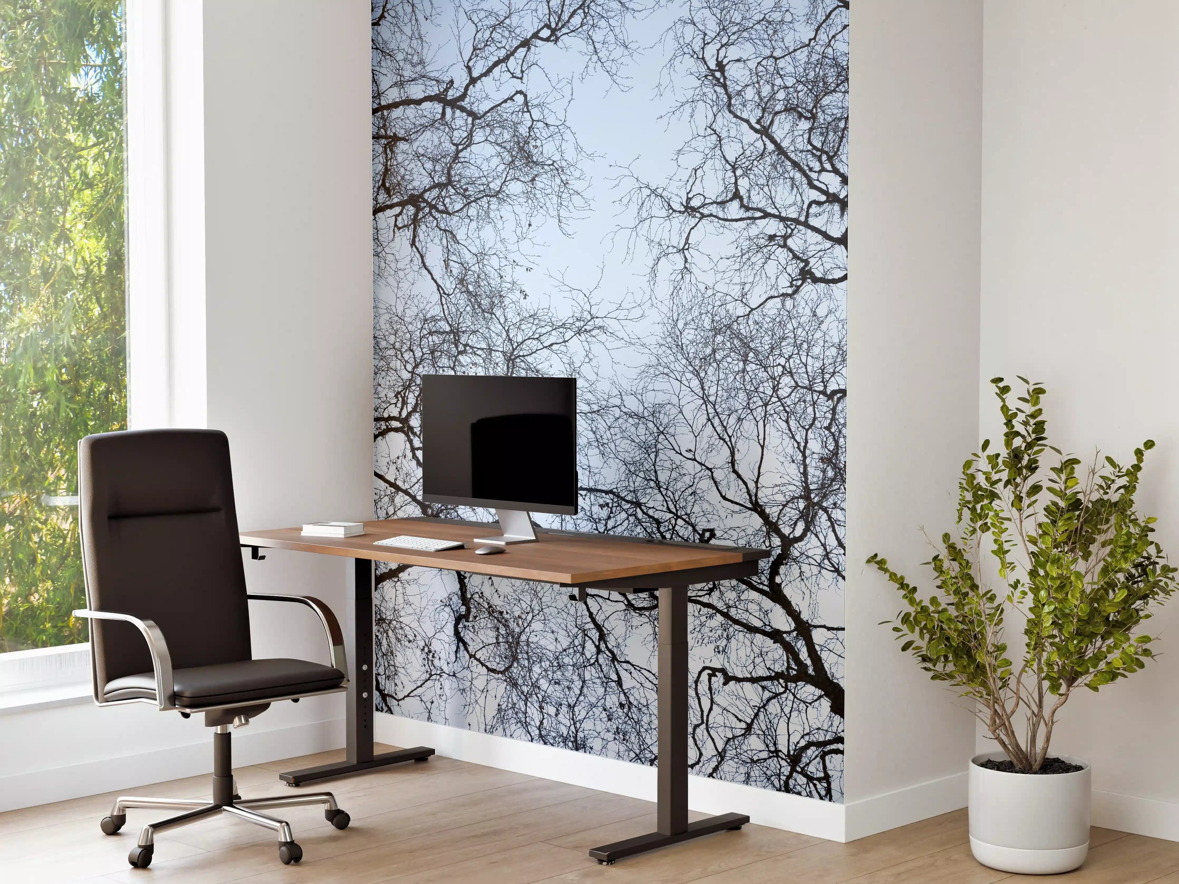 Büro Wandgestaltung - Baumkronen-Konturen Himmelblau