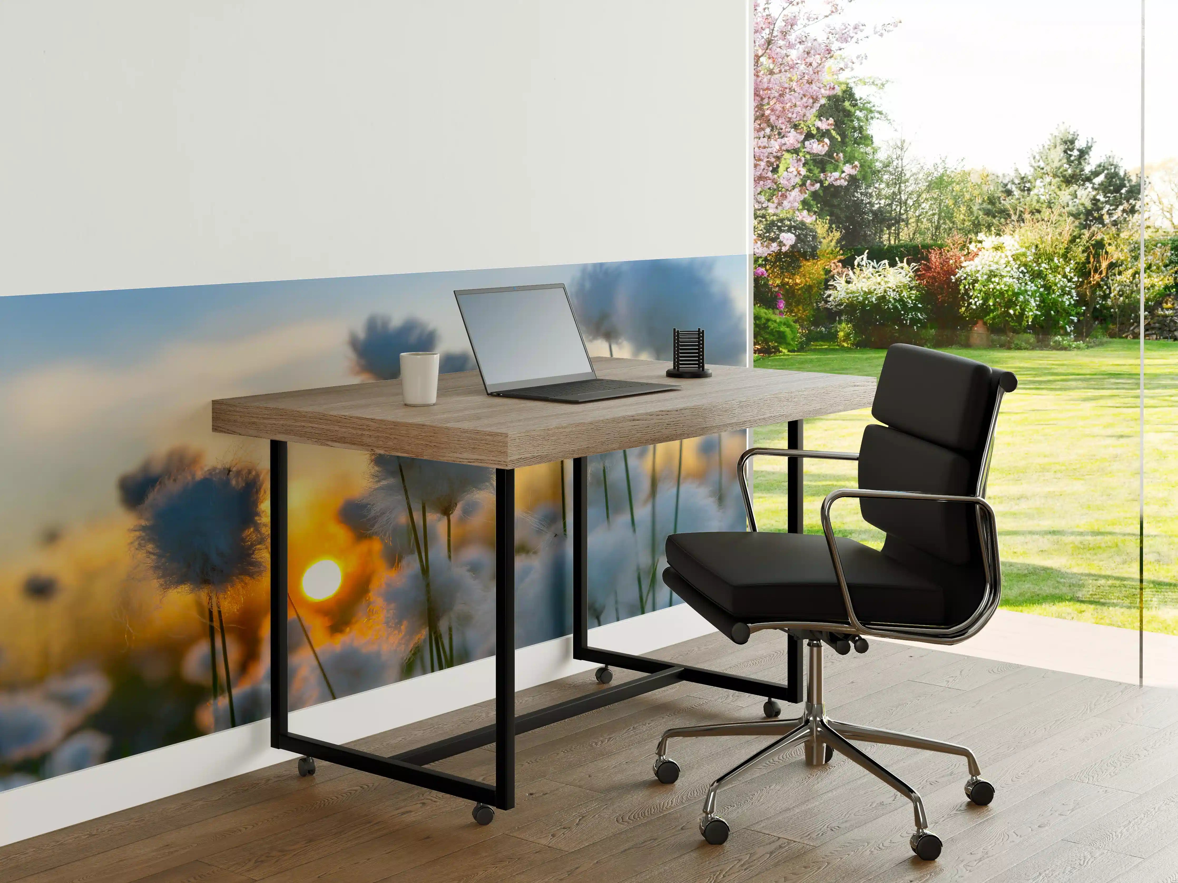 Büro Wandgestaltung - Baumwollgras bei Sonnenuntergang