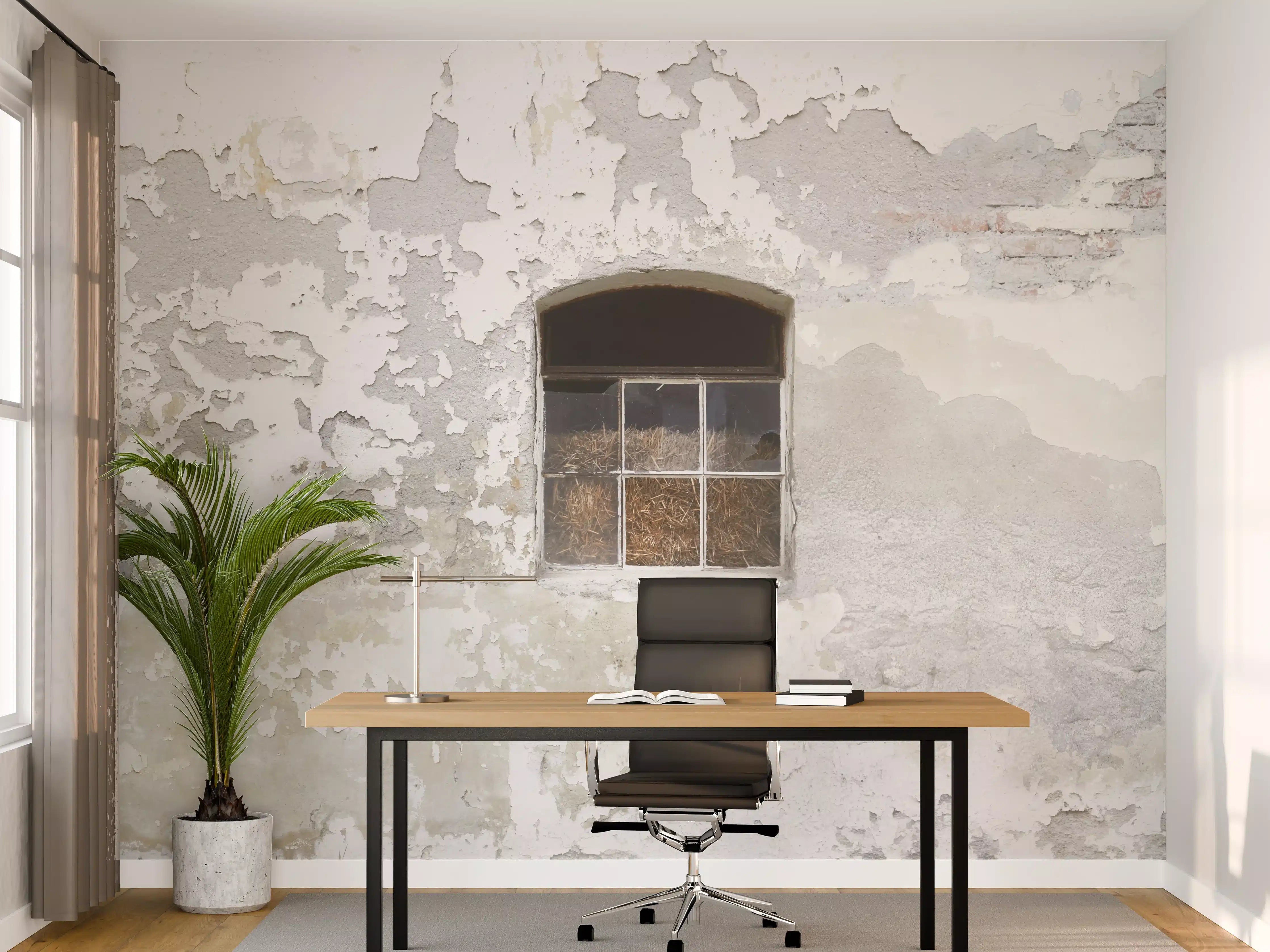 Büro Wandgestaltung - Beschädigte Fenster einer veralteten Hauswand