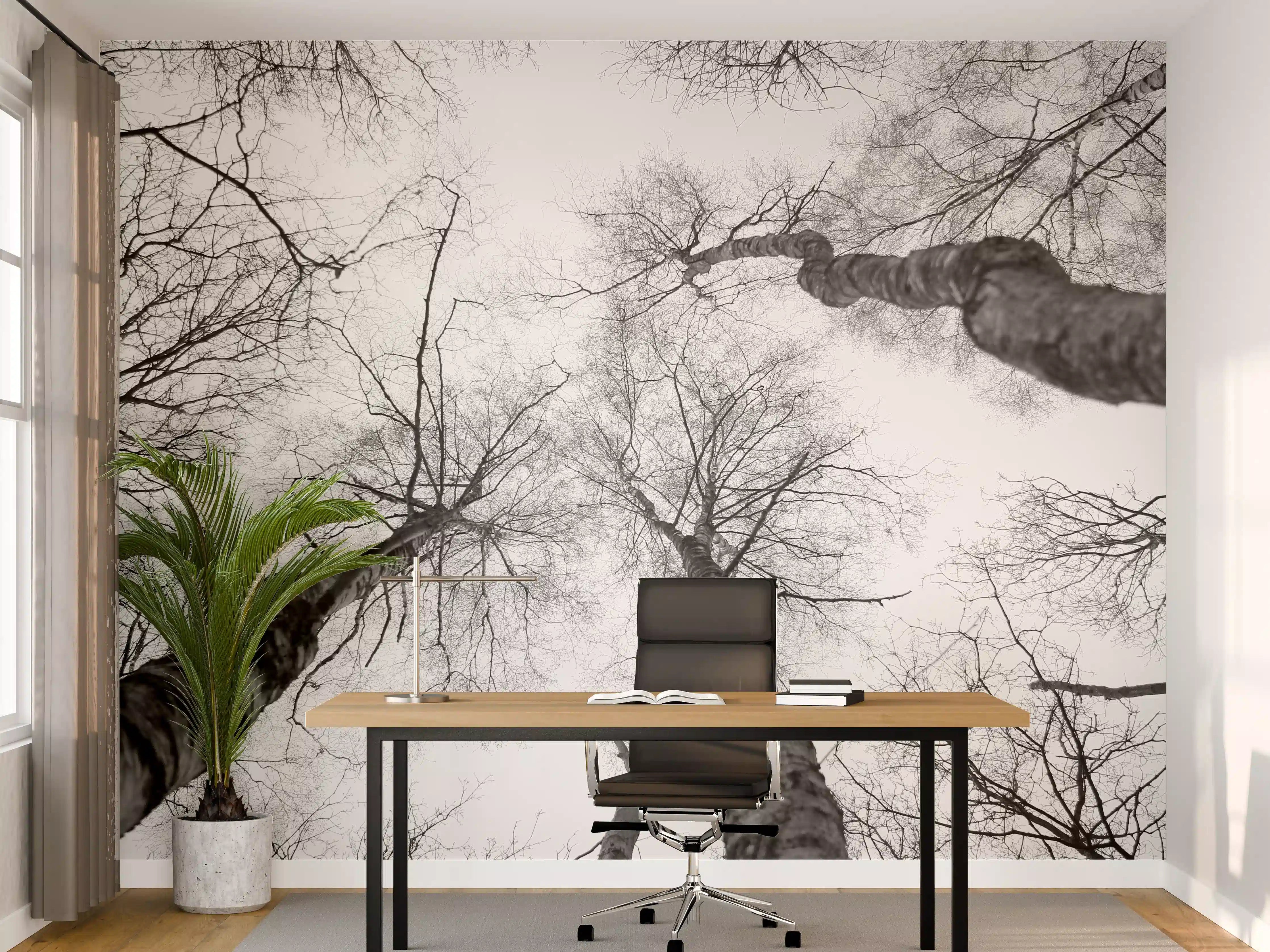 Büro Wandgestaltung - Birken im Winter von unten