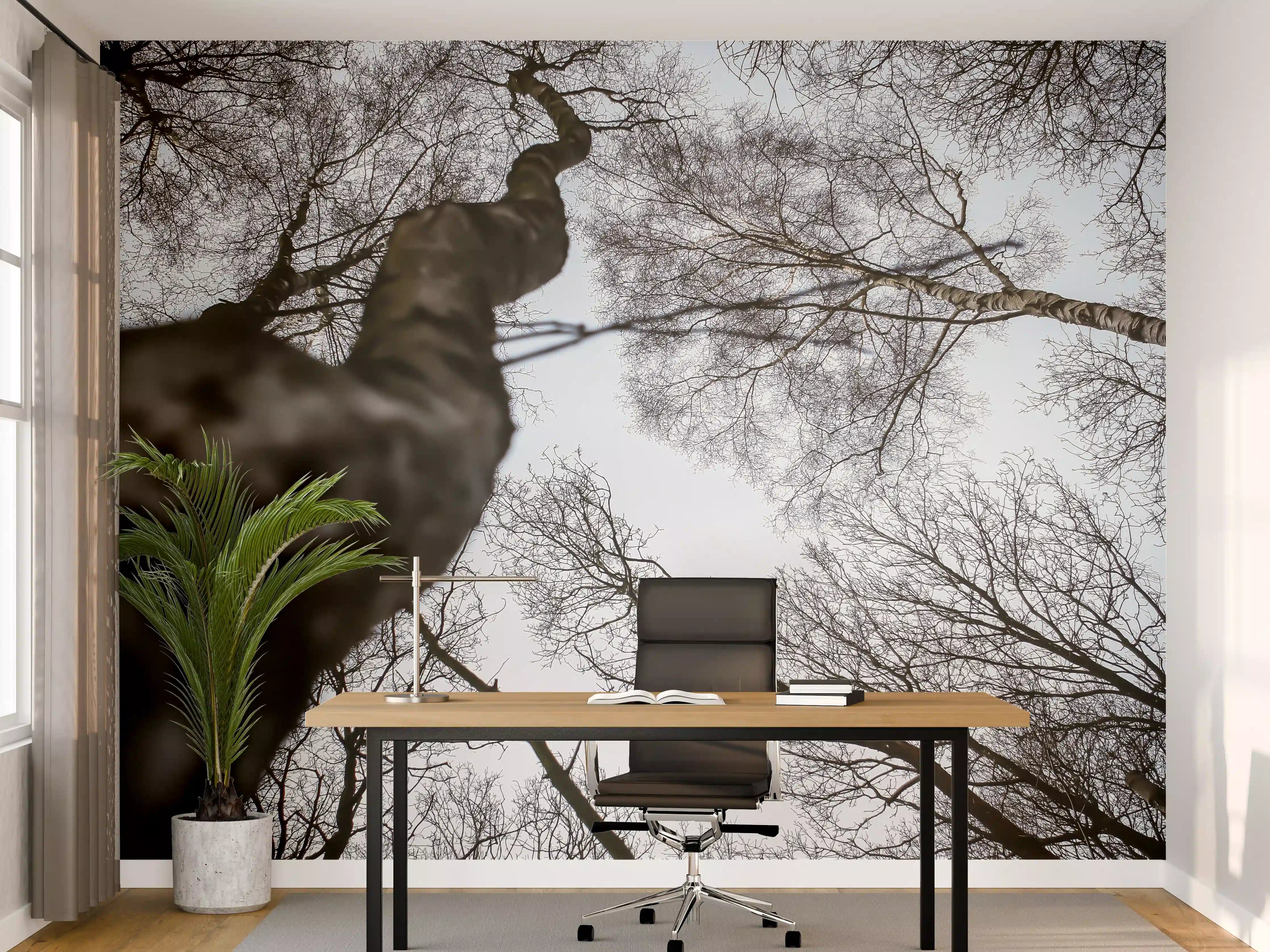 Büro Wandgestaltung - Birkenwald im WInter