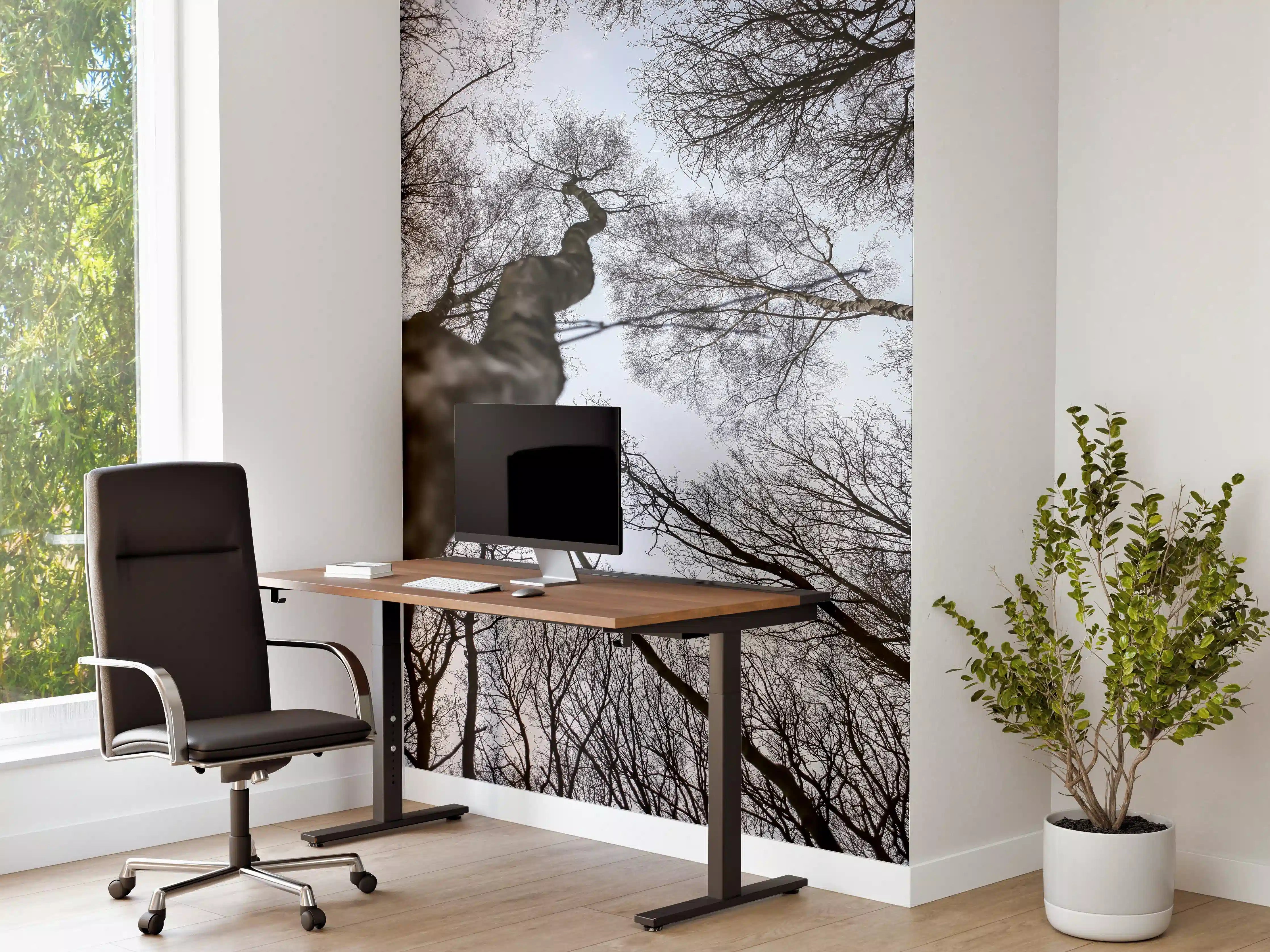 Büro Wandgestaltung - Birkenwald im WInter