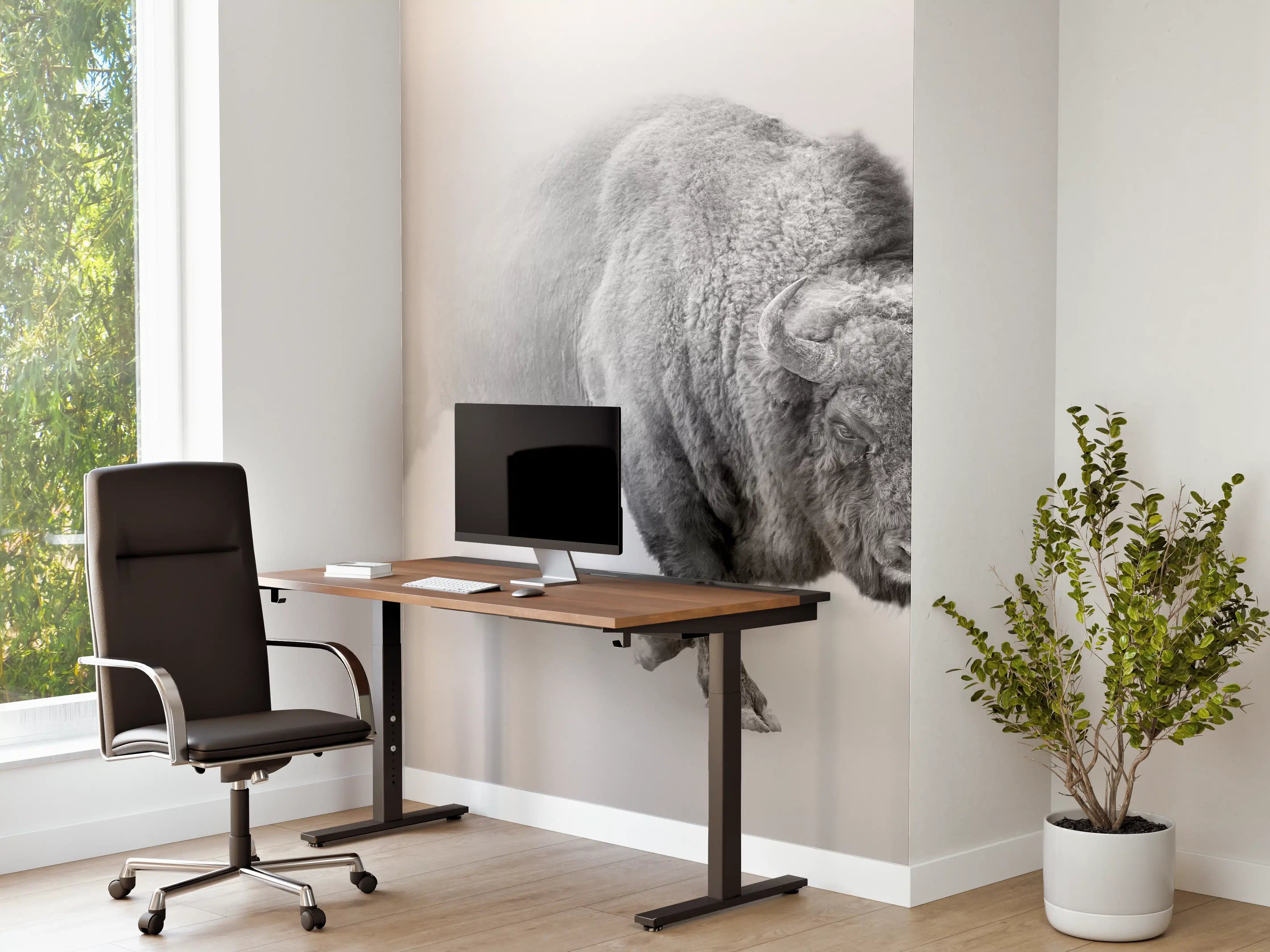 Büro Wandgestaltung - Bison Graustufenbild