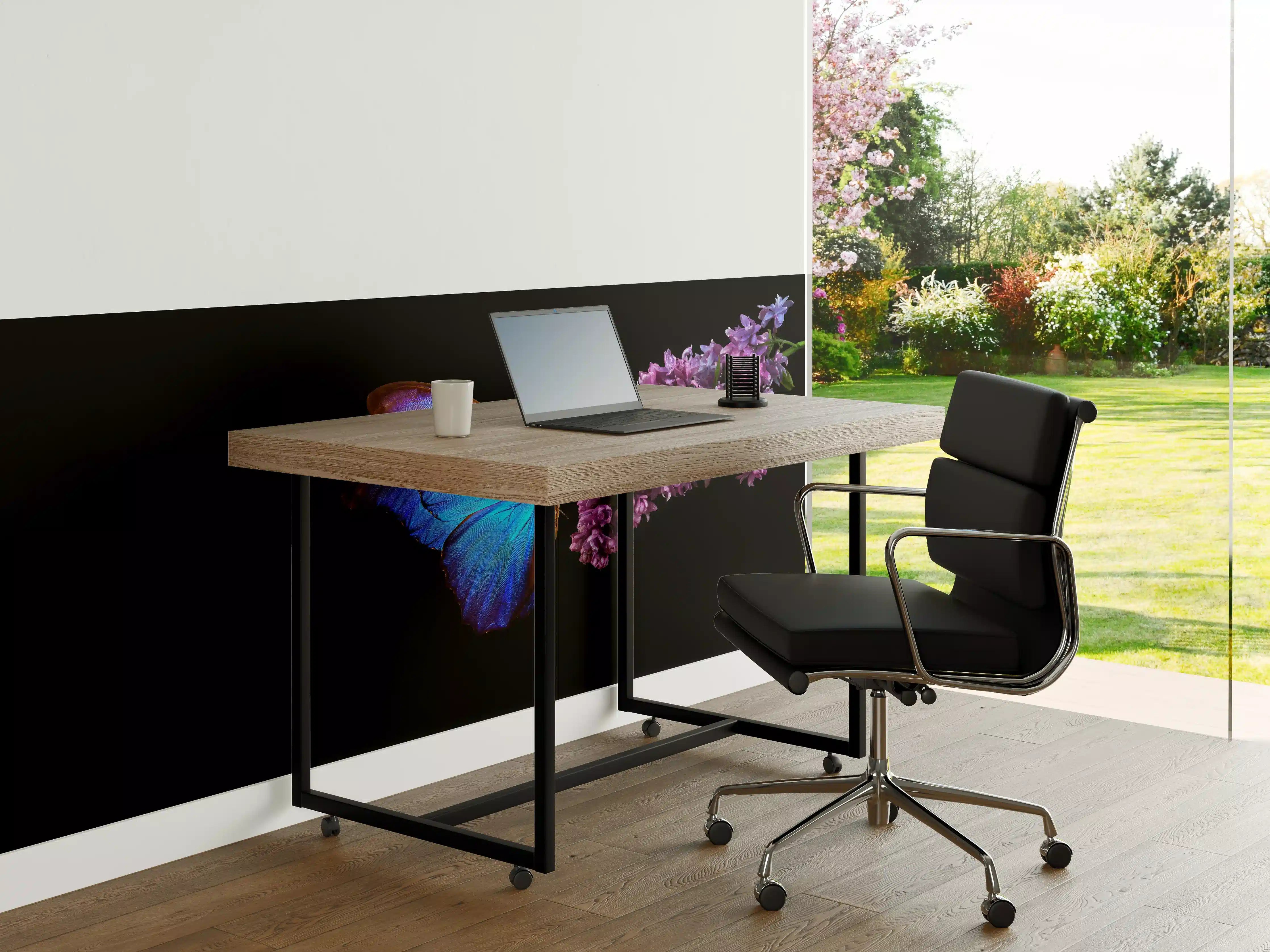 Büro Wandgestaltung - Bläulicher Schmetterling auf Blume