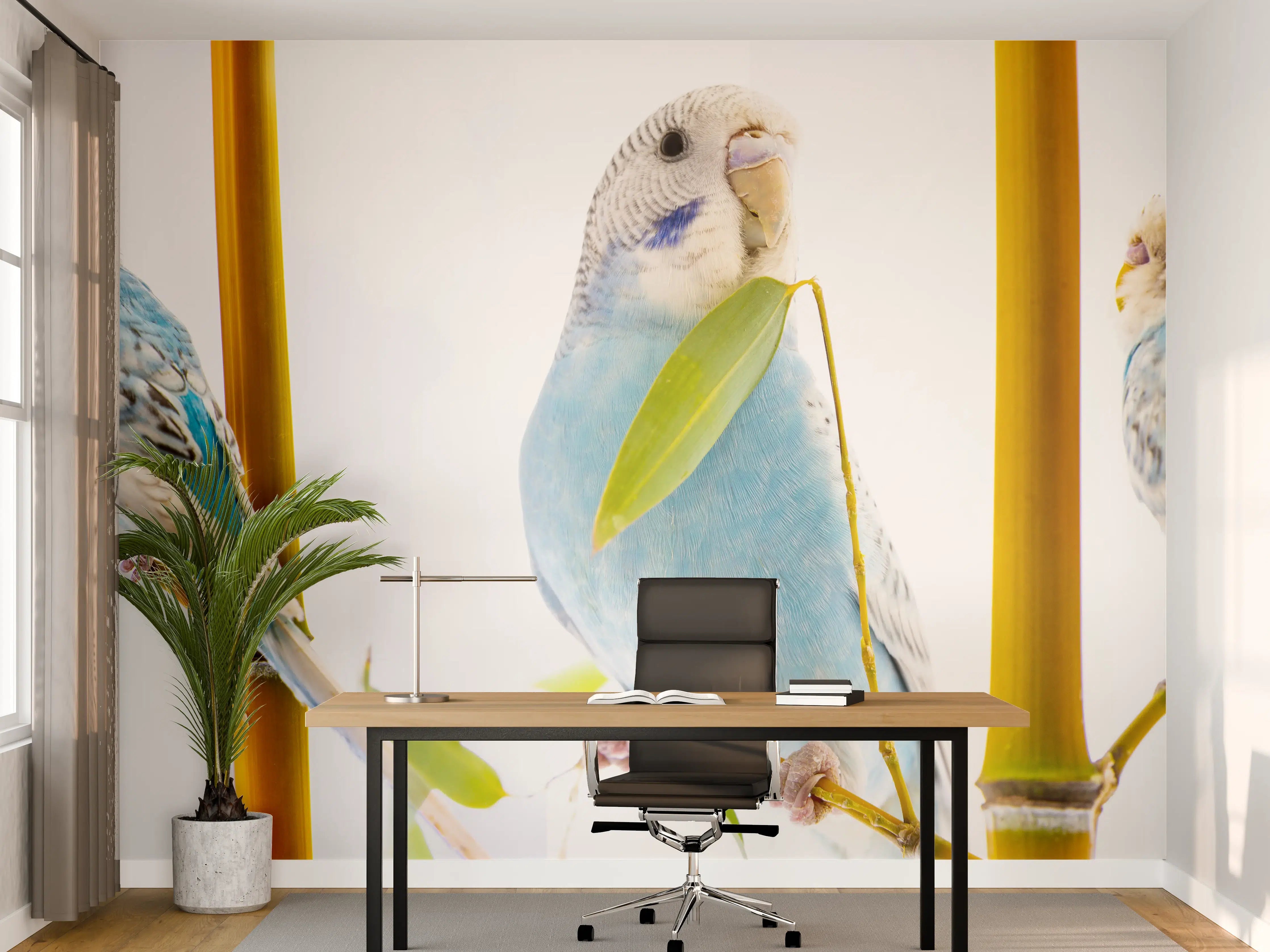 Büro Wandgestaltung - Blaue gewellte Papageien auf weißem Hintergrund