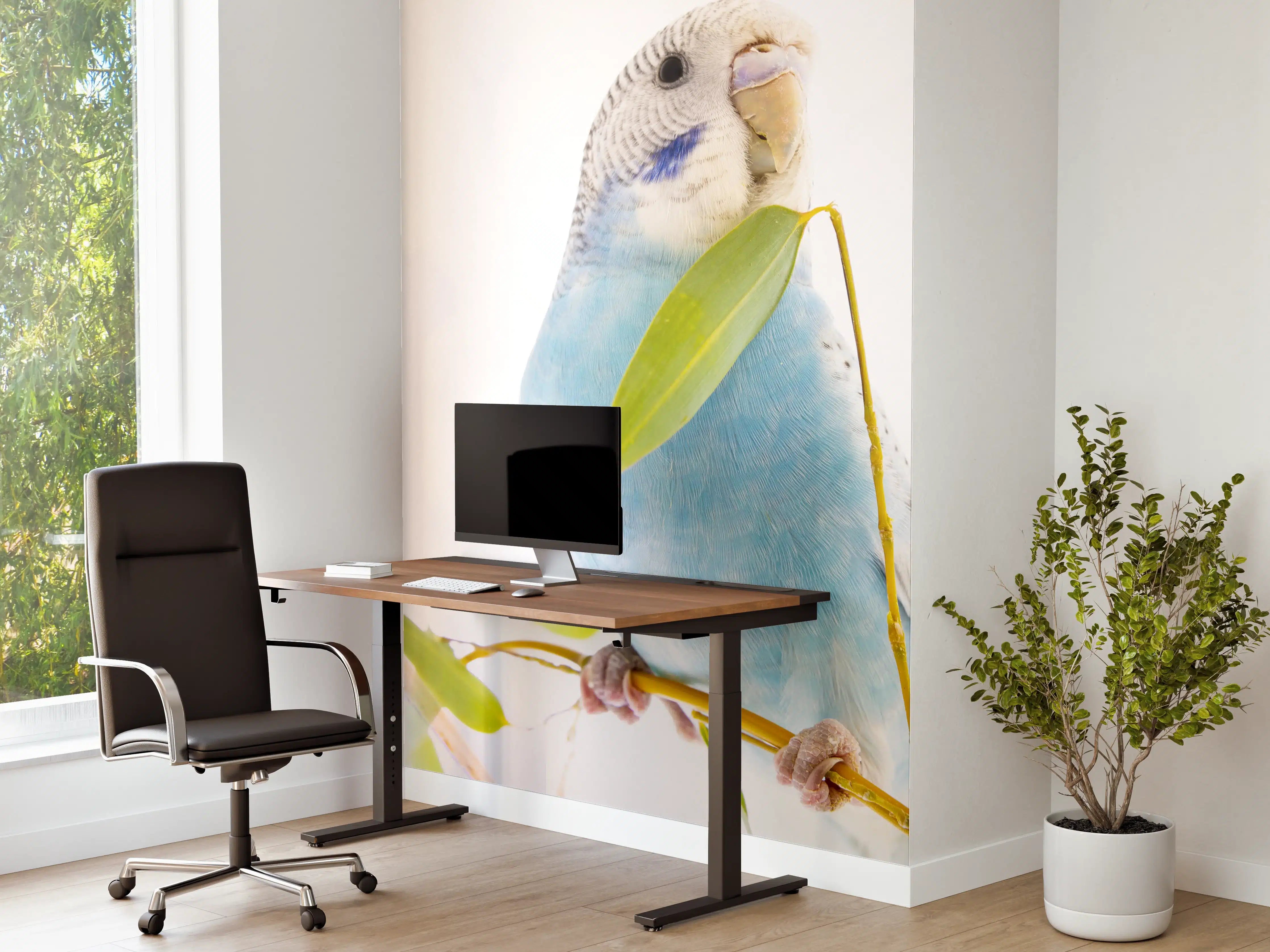 Büro Wandgestaltung - Blaue gewellte Papageien auf weißem Hintergrund