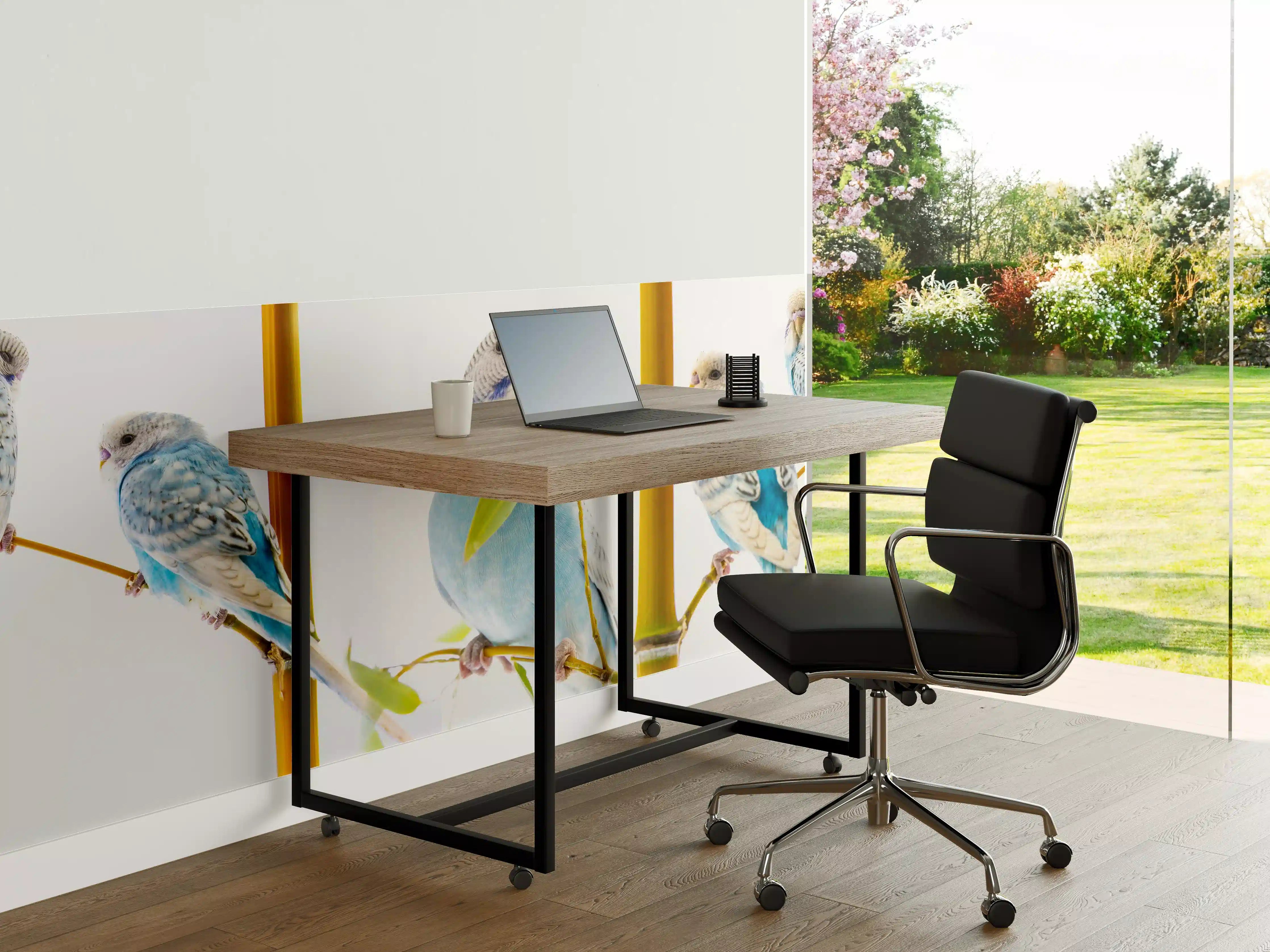 Büro Wandgestaltung - Blaue gewellte Papageien auf weißem Hintergrund