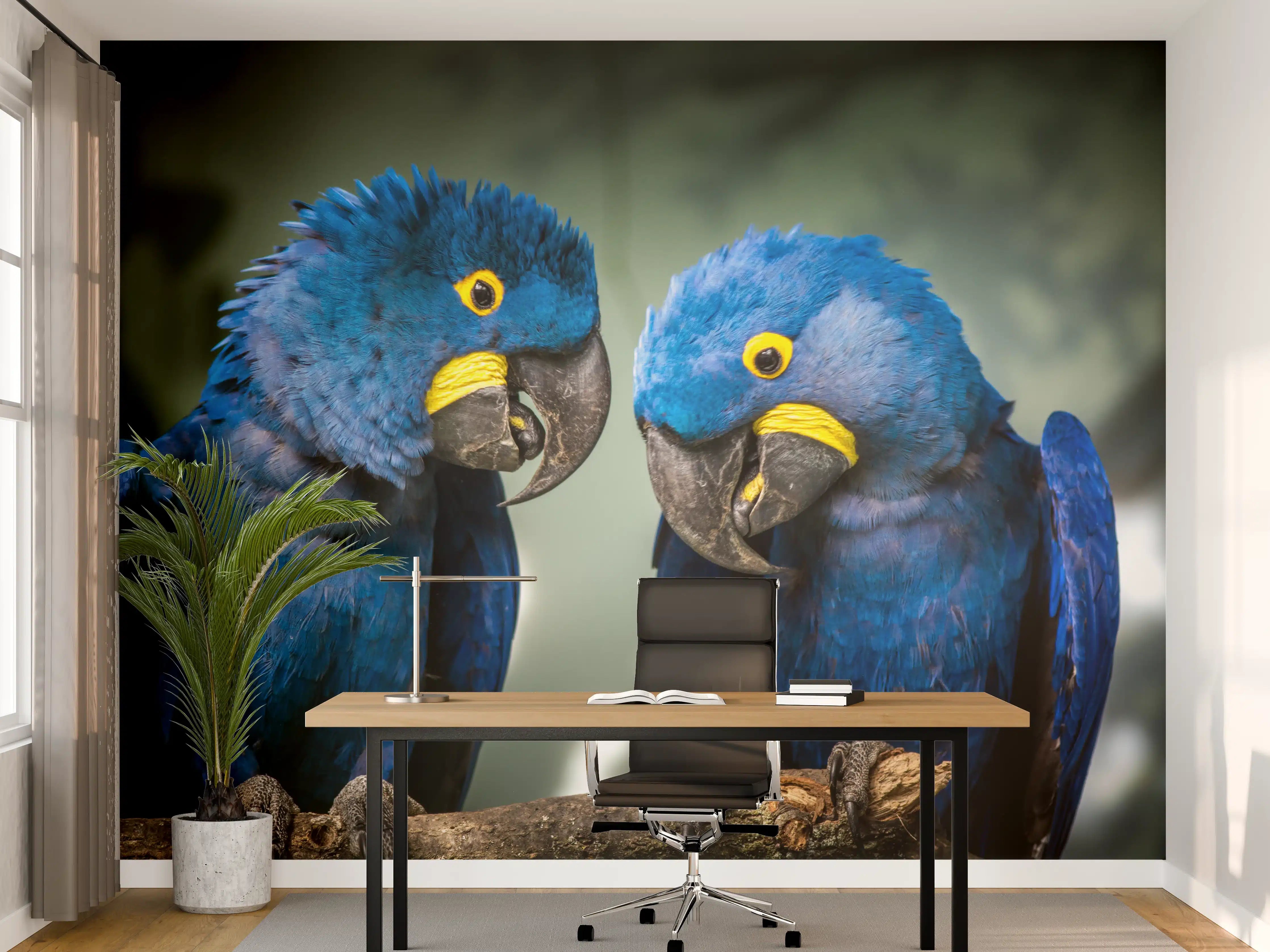 Büro Wandgestaltung - Blauer Gelbschwarzer Ara
