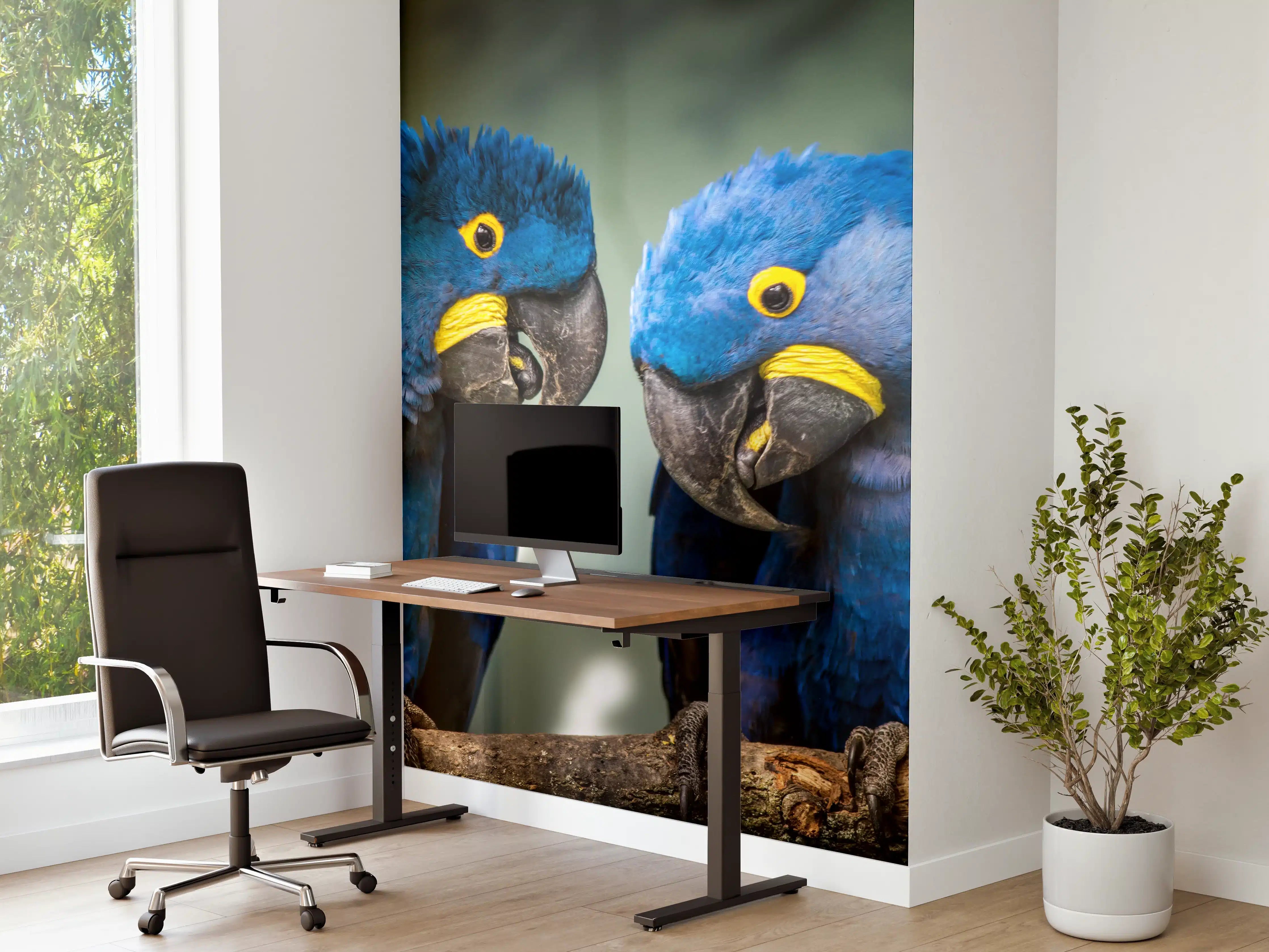 Büro Wandgestaltung - Blauer Gelbschwarzer Ara