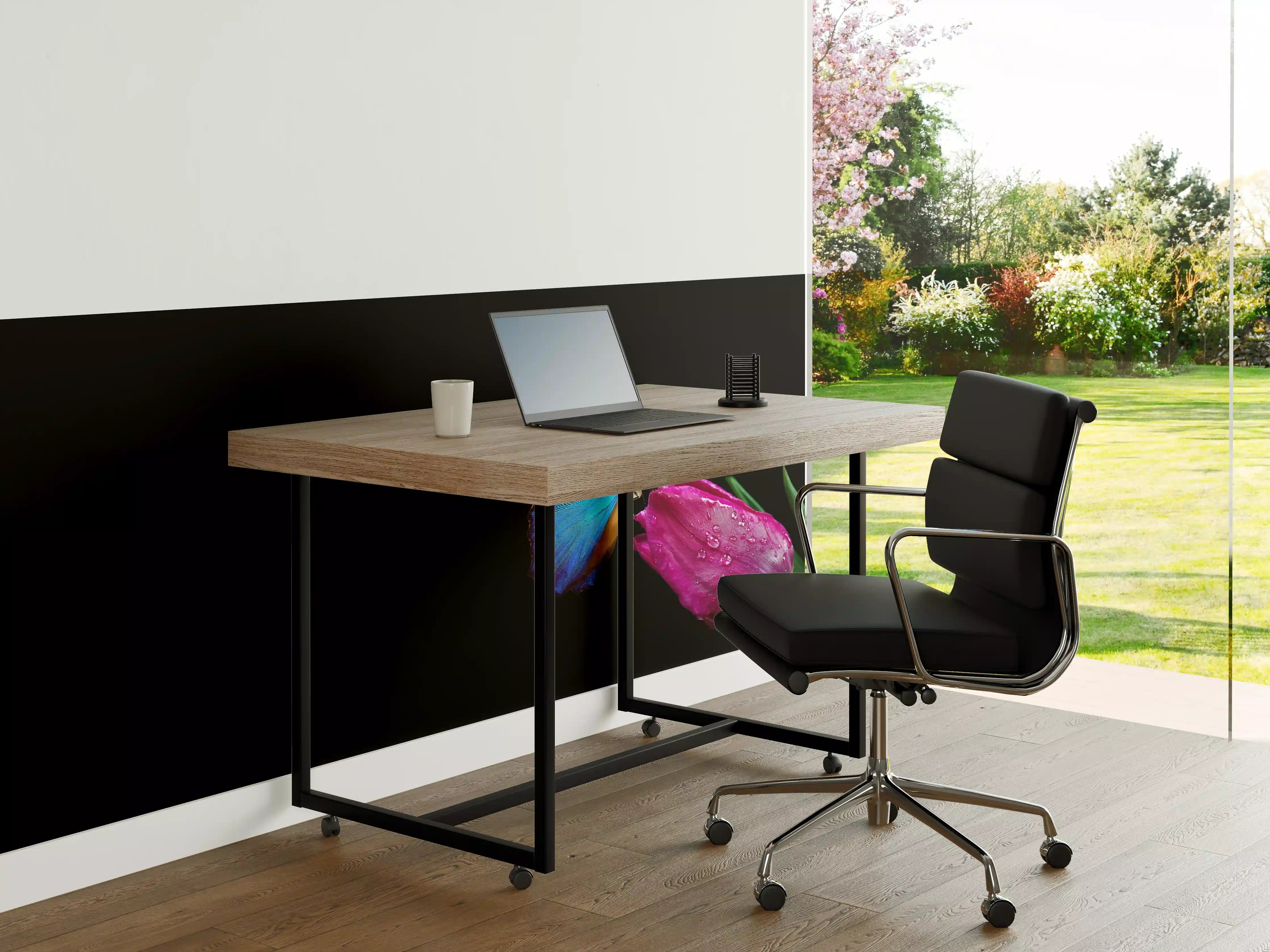 Büro Wandgestaltung - Blauer Morphofalter - schwarzer Hintergrund