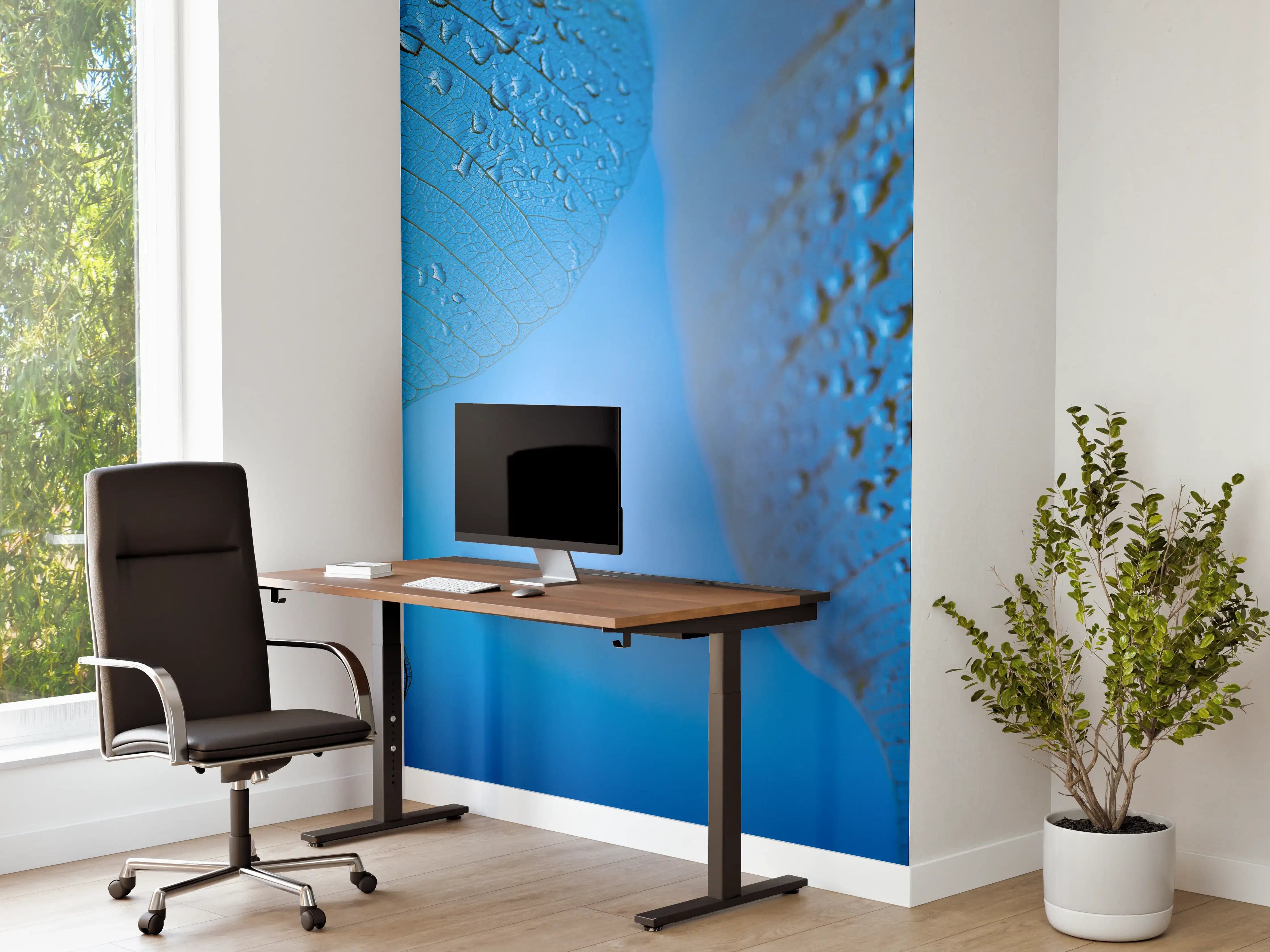 Büro Wandgestaltung - Blaues Tautropfen Blatt Makro